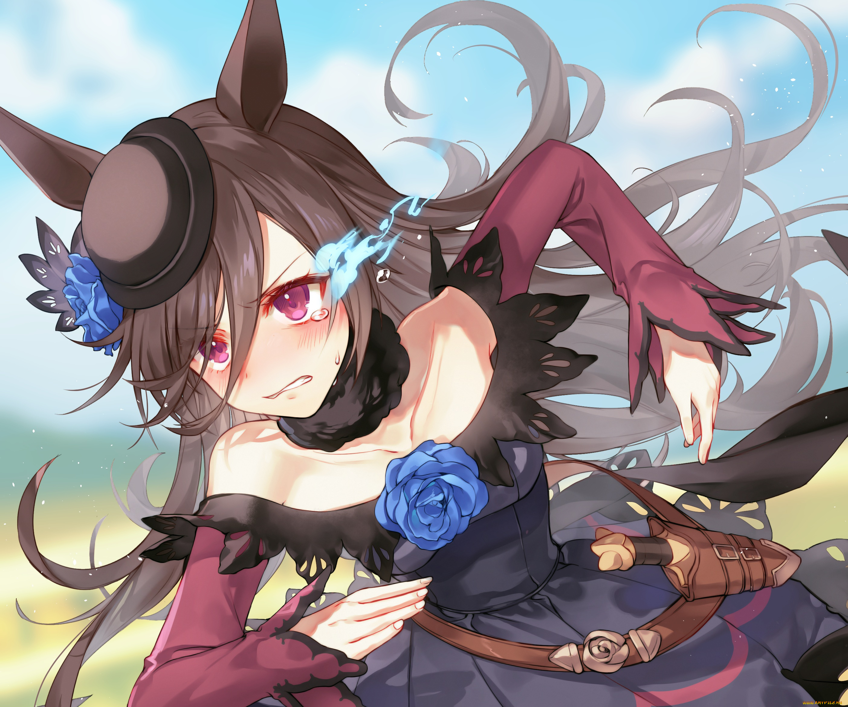 аниме, uma, musume, , pretty, derby, uma, musume, pretty, derby