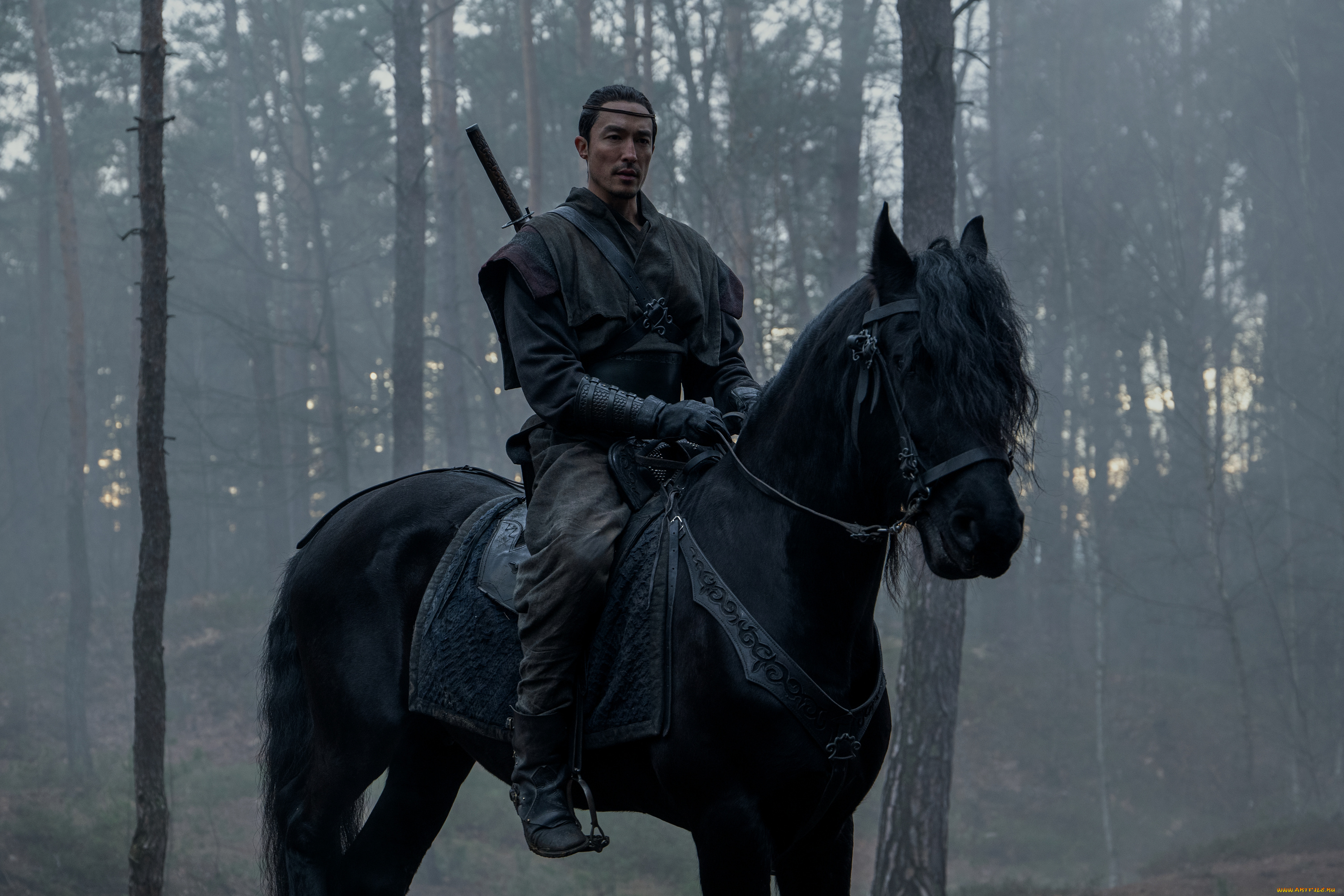 the, wheel, of, time, , сериал, 2021, –, , кино, фильмы, сериал, daniel, henney, lan, mandragoran, колесо, времени, фэнтези, боевик, драма