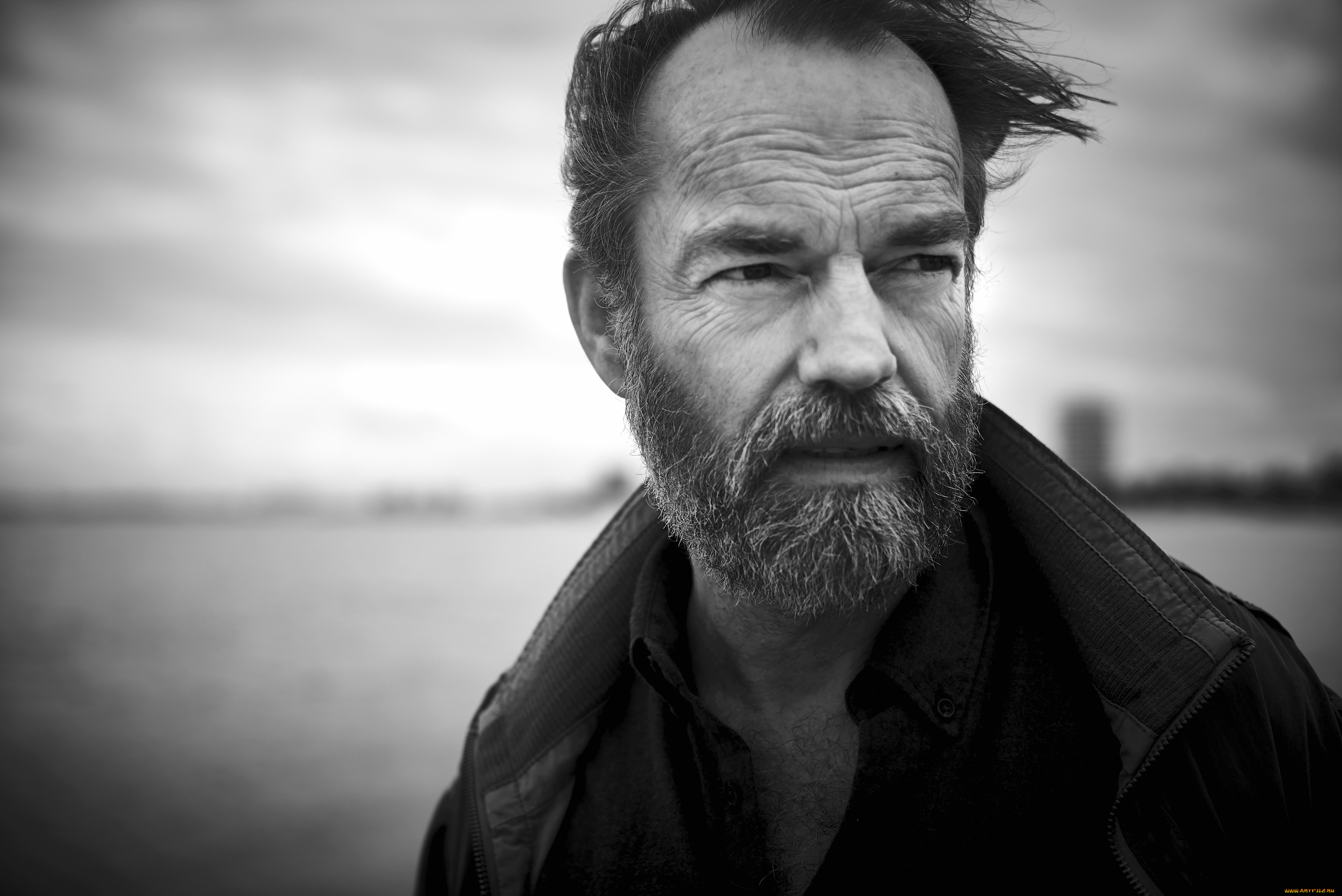 hugo, weaving, мужчины, актер, лицо, ветер, куртка