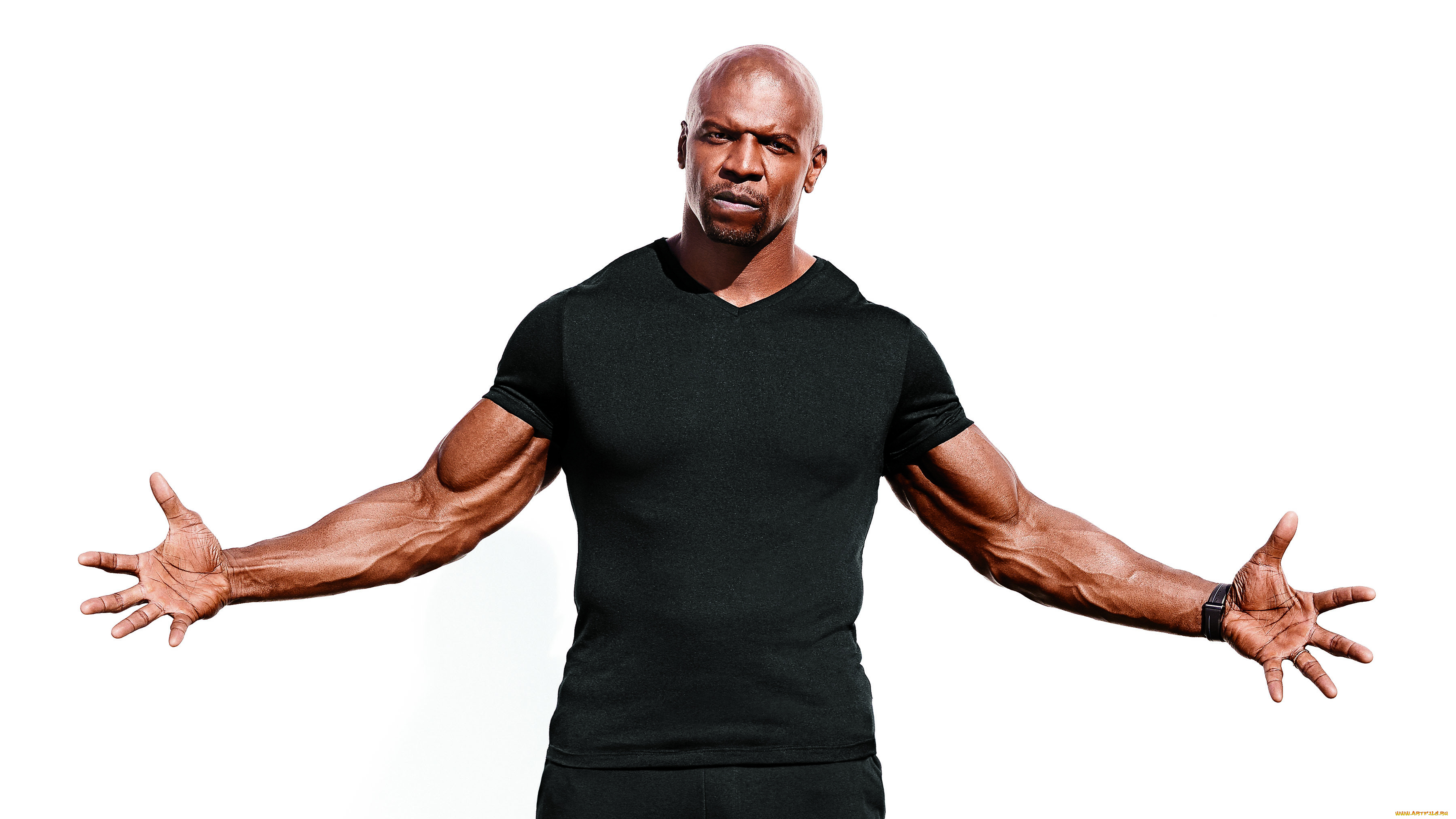 мужчины, terry, crews, жест, футболка