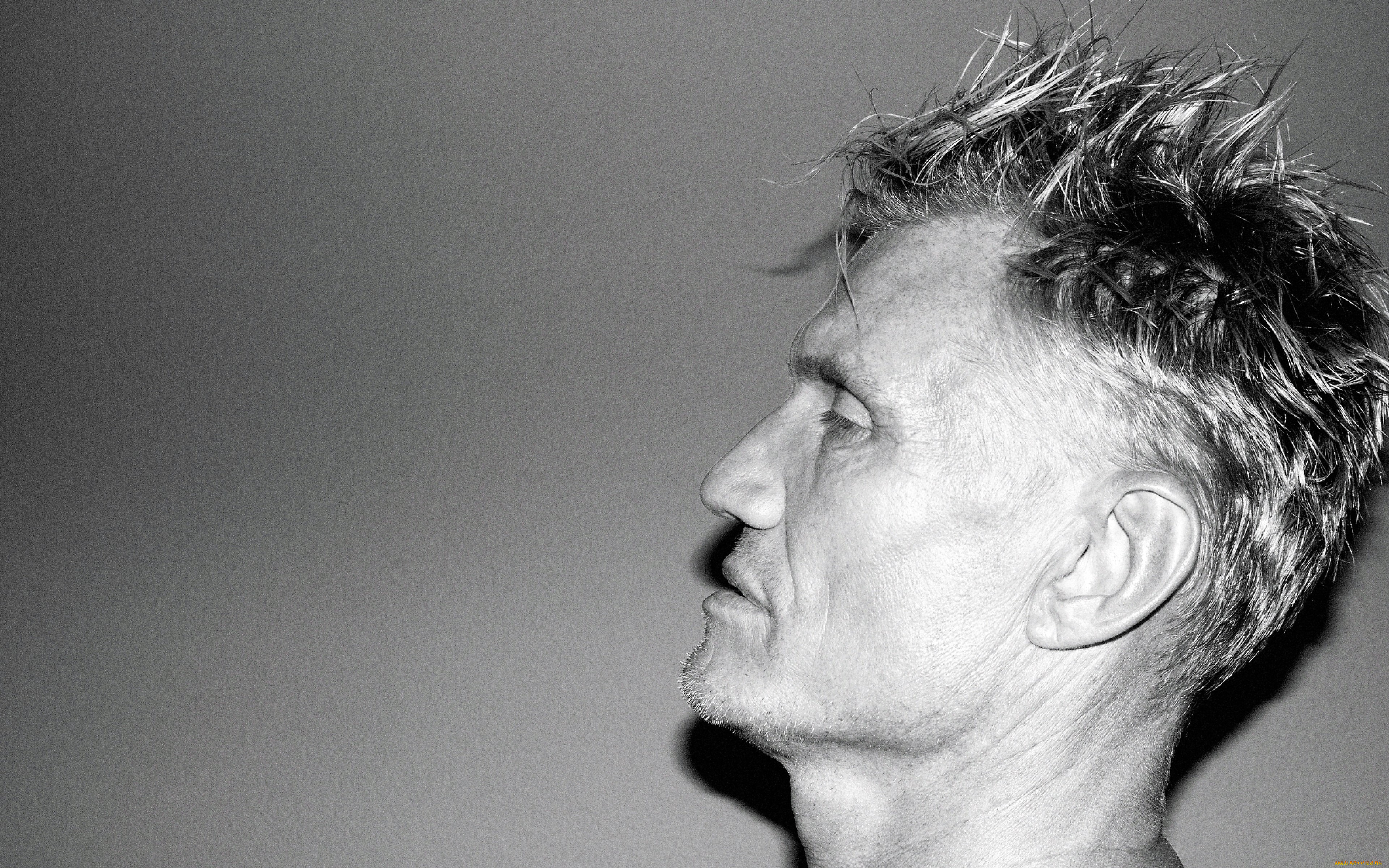 мужчины, dolph, lundgren, актер, лицо, профиль