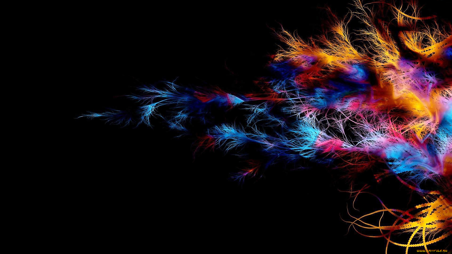 рисованное, абстракция, растение, цвета