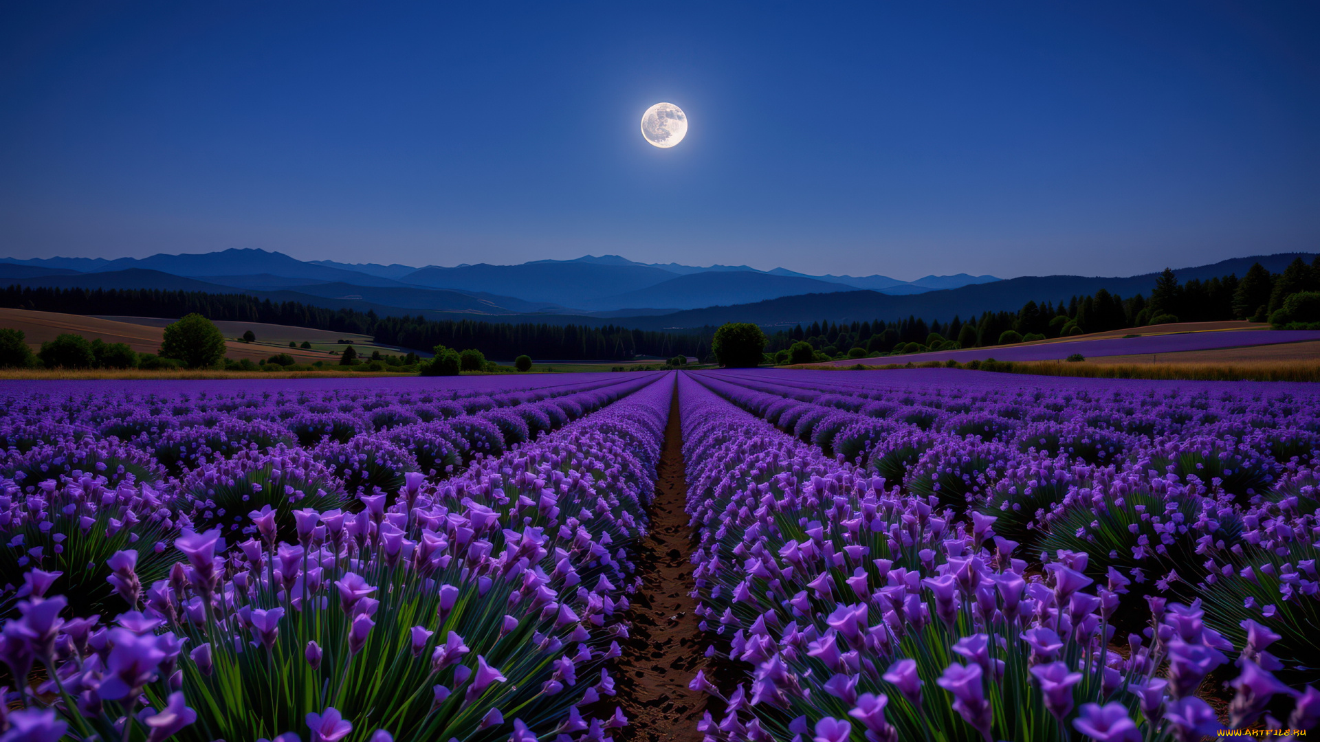 автор, wp, stl, разное, компьютерный, дизайн, горы, ночь, луна, поле, лаванда