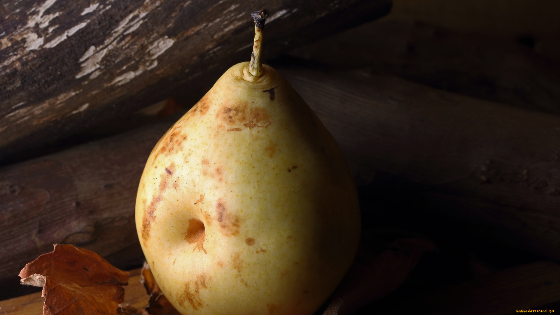 еда, груши, засохший, лист, груша, фрукт, макро