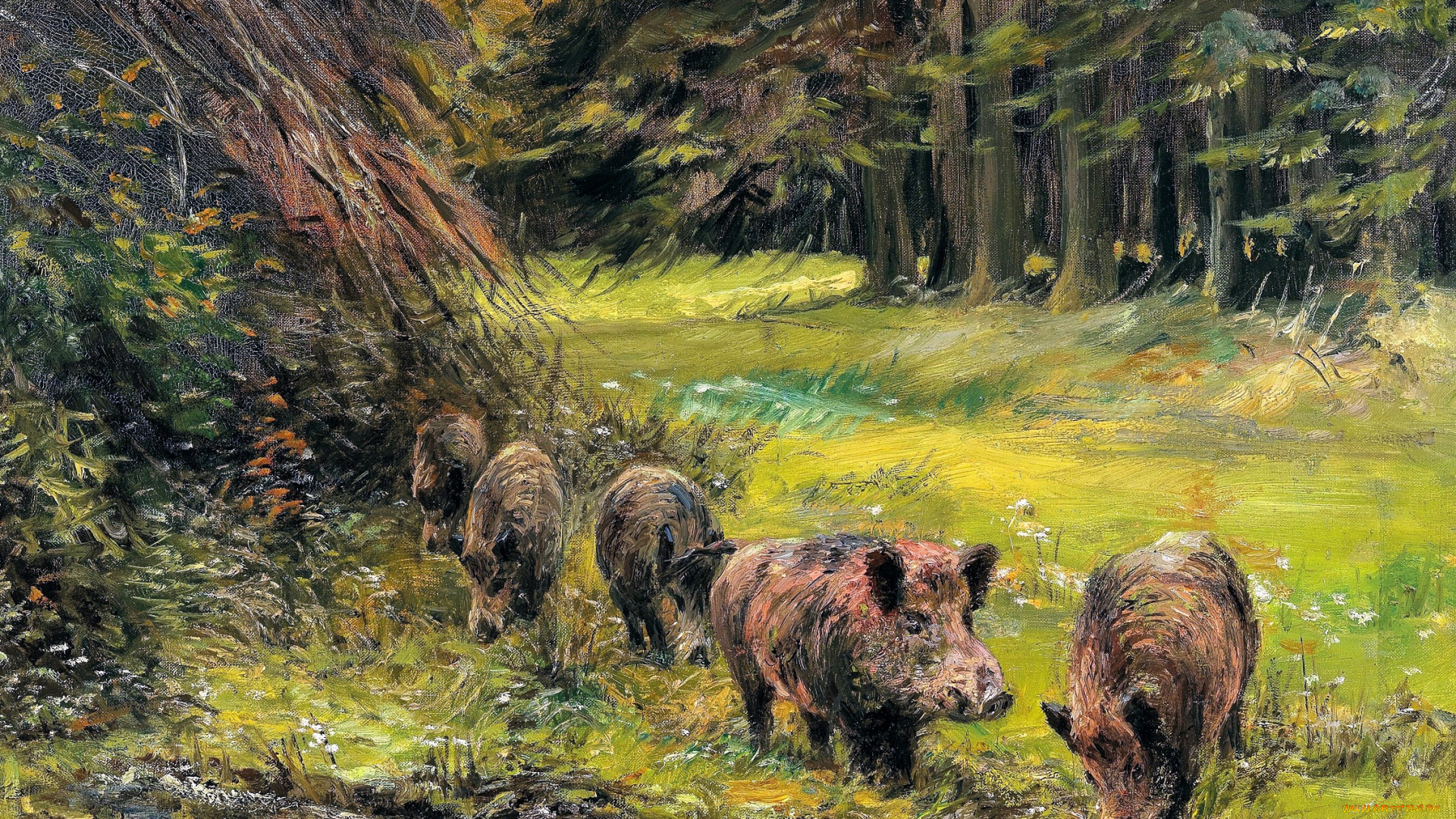 рисованное, wilhelm, lorenz, лес, поляна, кабаны, стадо