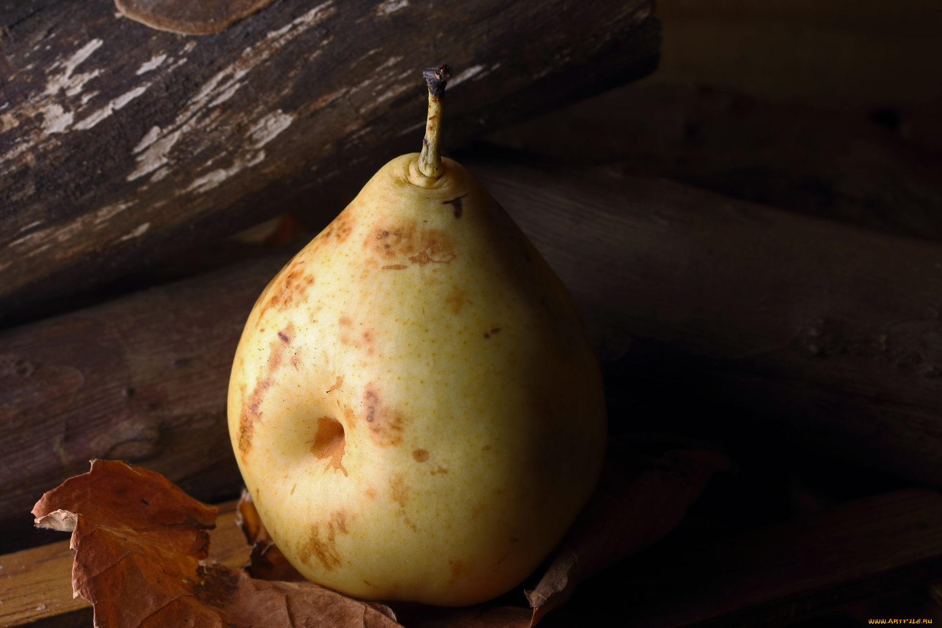 еда, груши, засохший, лист, груша, фрукт, макро
