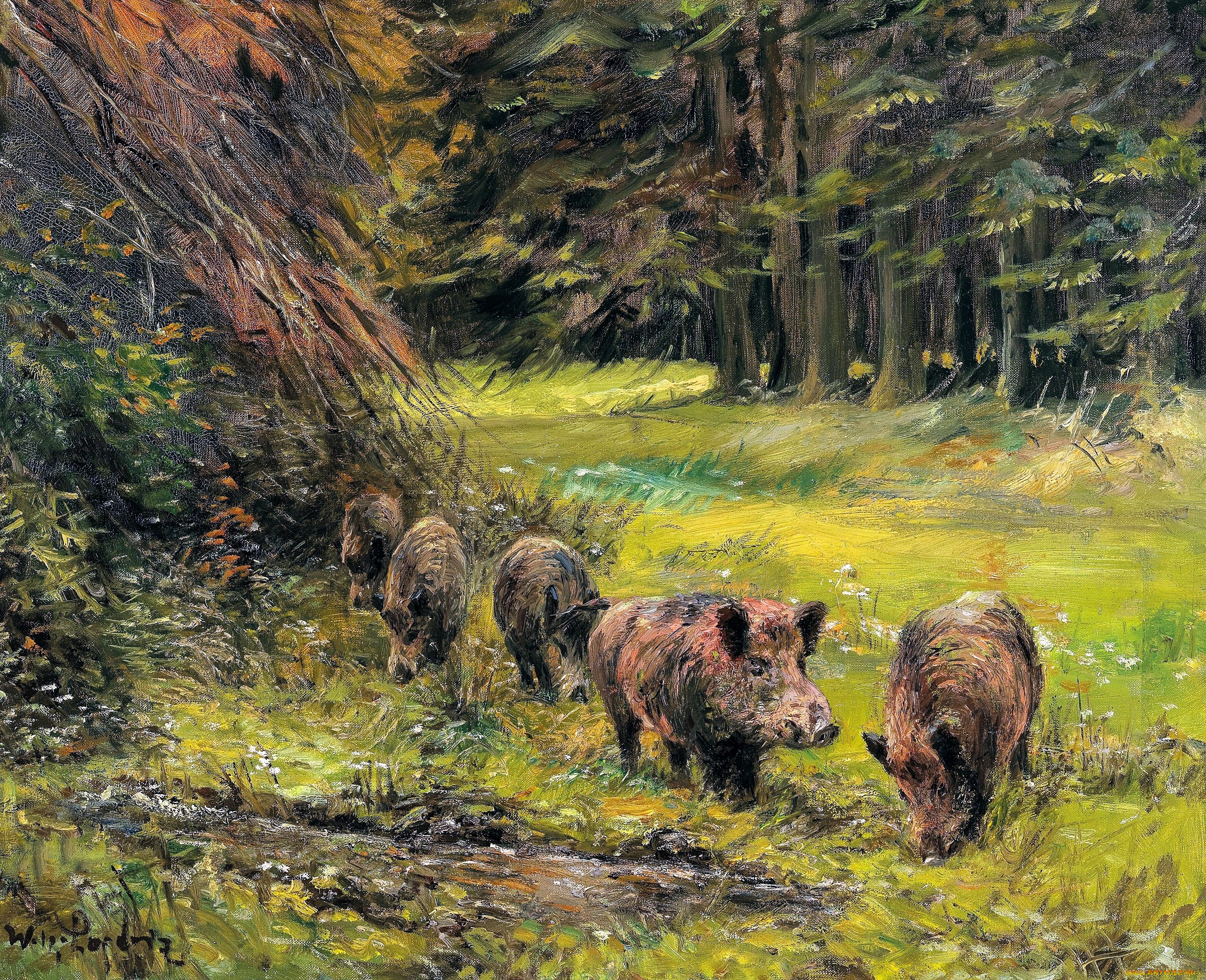 рисованное, wilhelm, lorenz, лес, поляна, кабаны, стадо