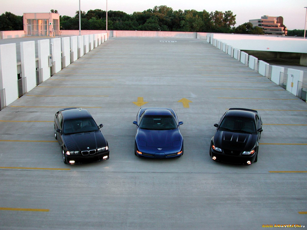 автомобили, разные, вместе