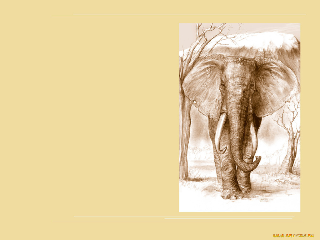 рисованные, минимализм