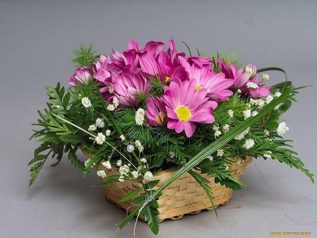 цветы, букеты, композиции