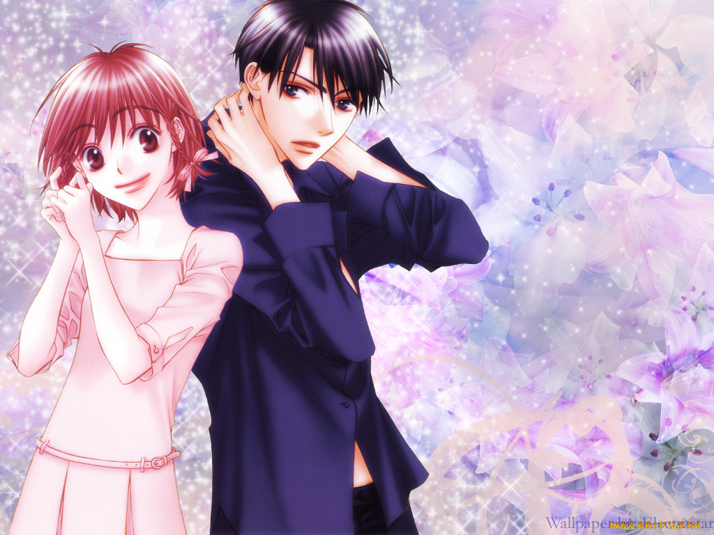 hanazakari, no, kimitachi, аниме, hanakimi