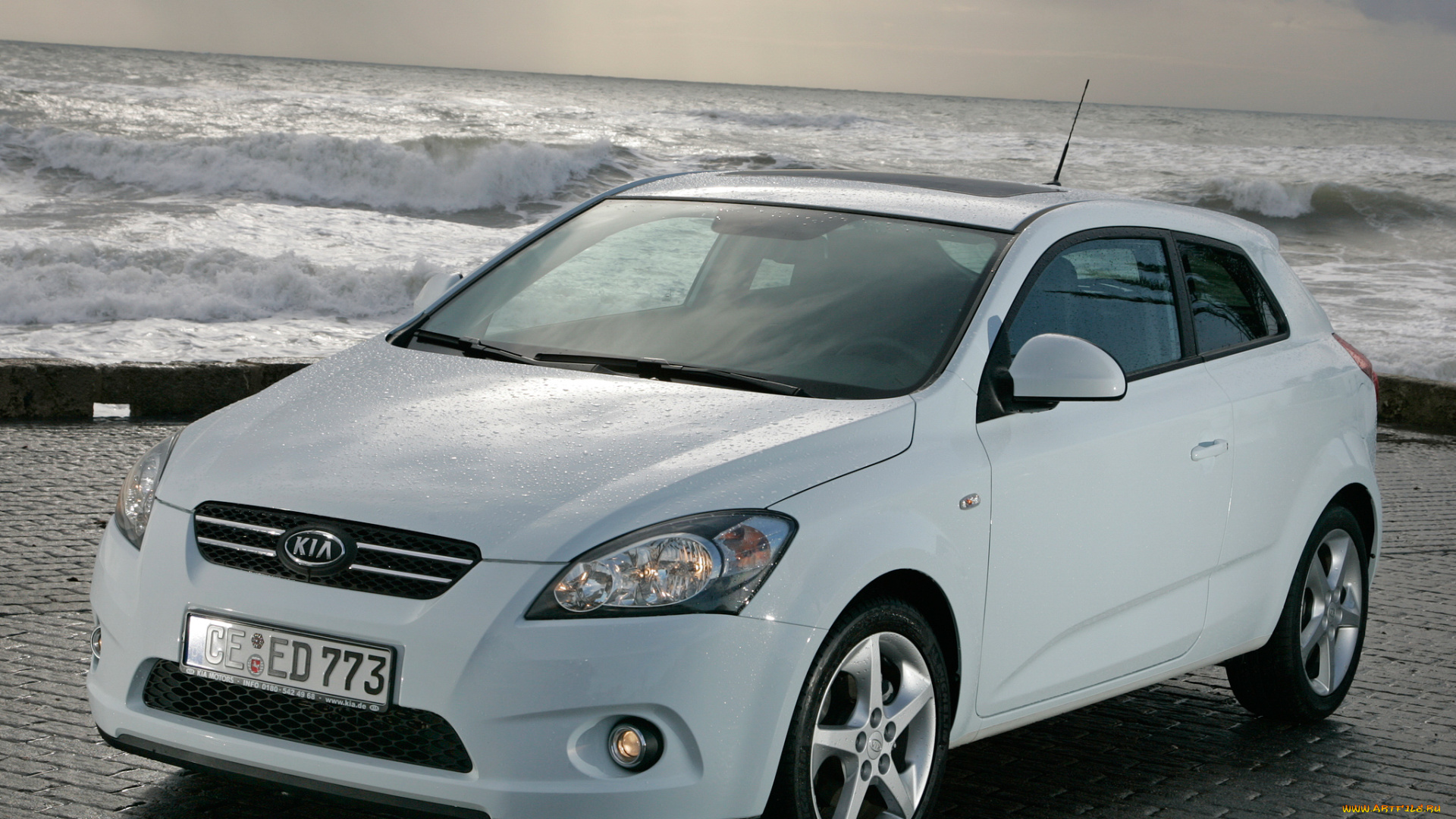 автомобили, kia, ceed