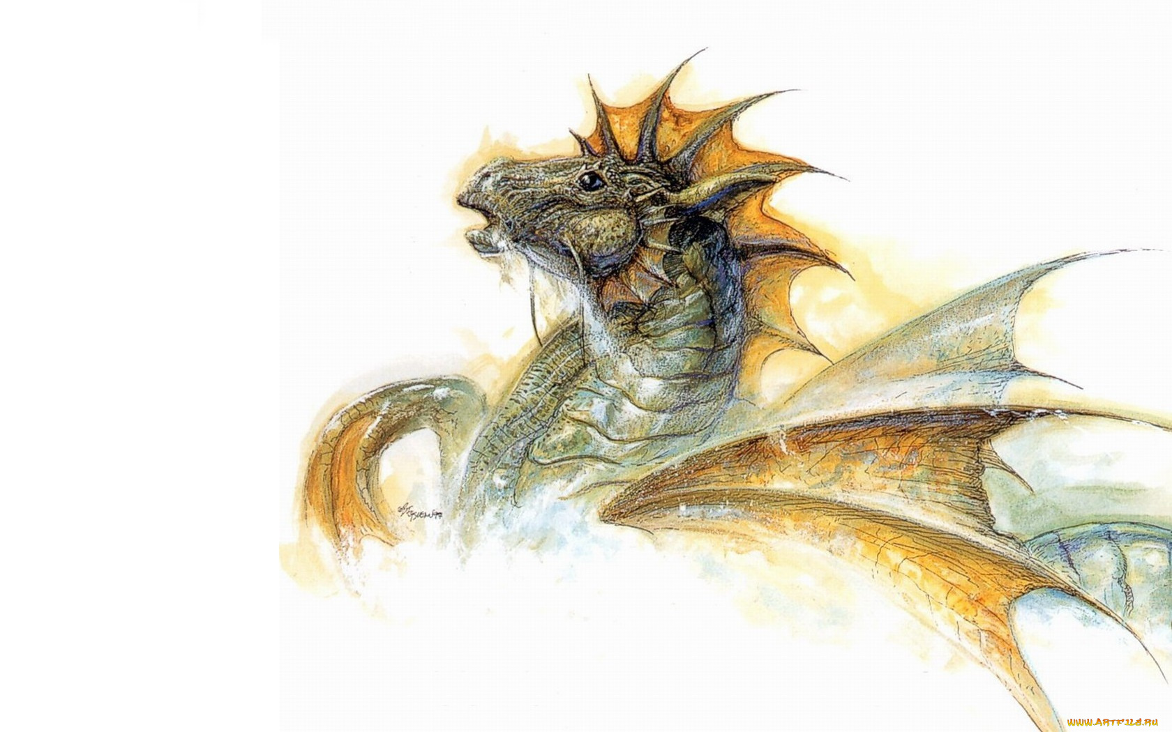 рисованные, животные, дракон