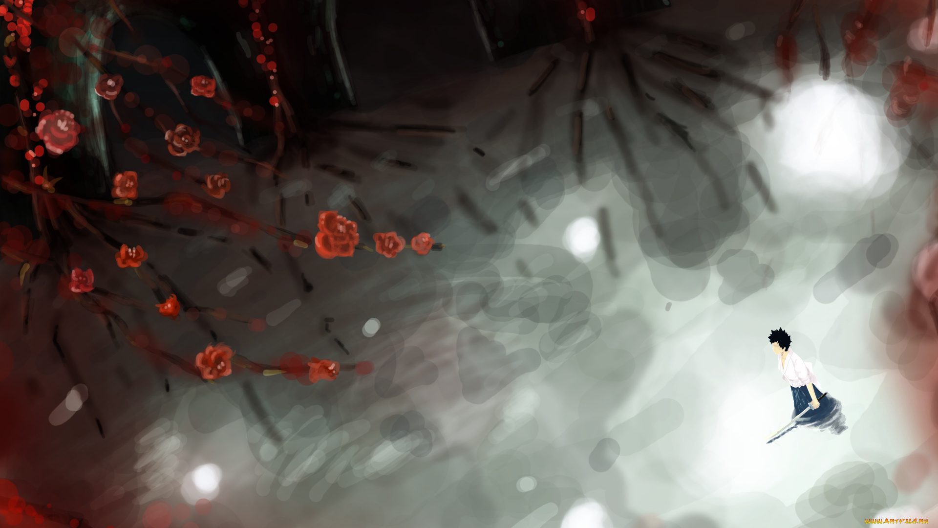 аниме, katekyo, hitman, reborn, озеро, самурай