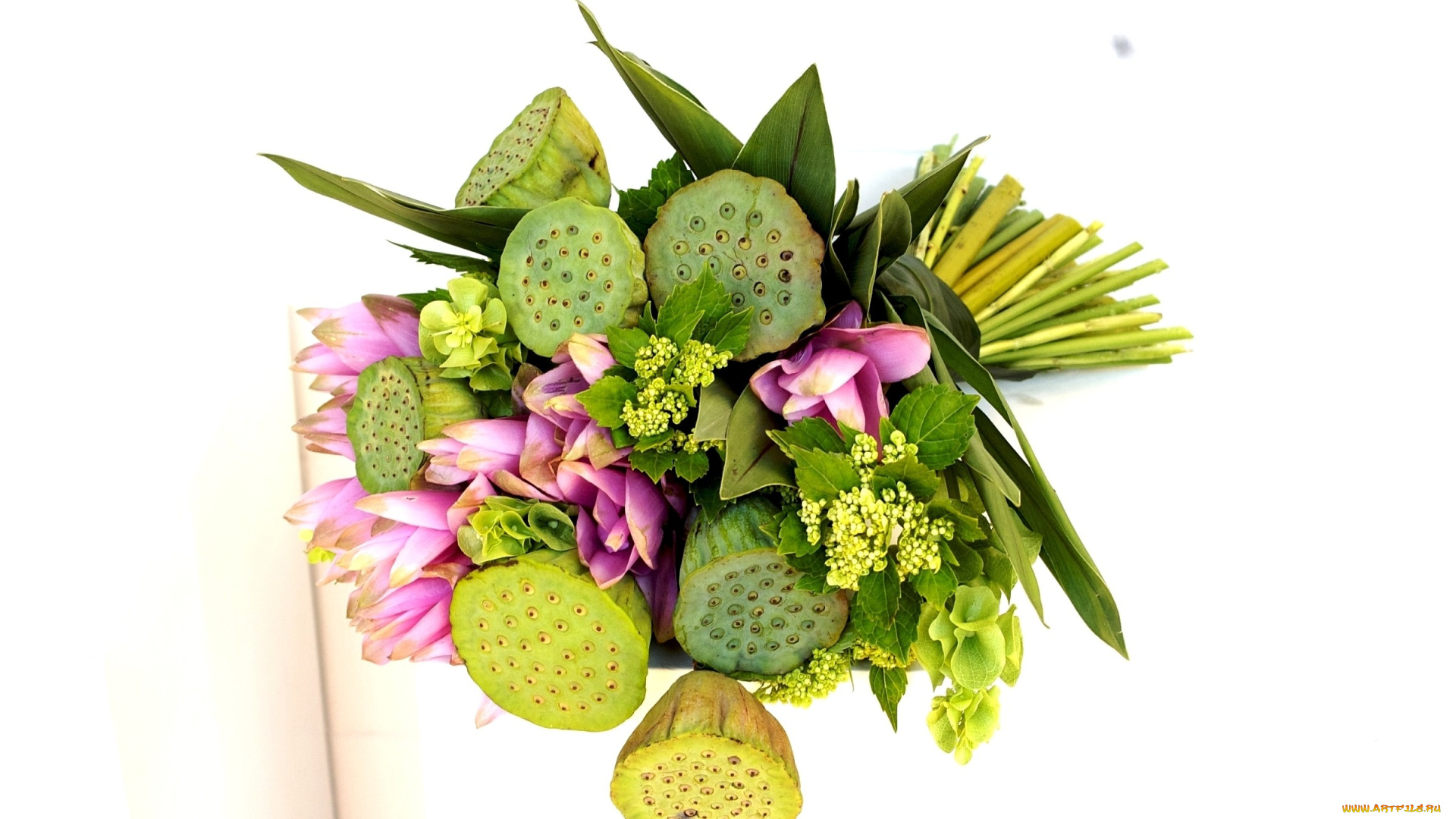 цветы, букеты, композиции, лотосы, гортензия