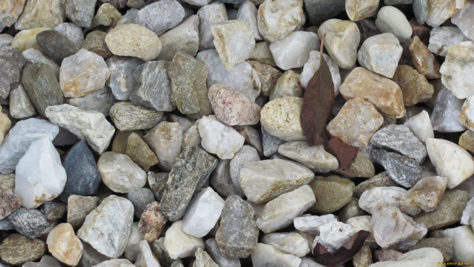 природа, камни, минералы, камешки, листья