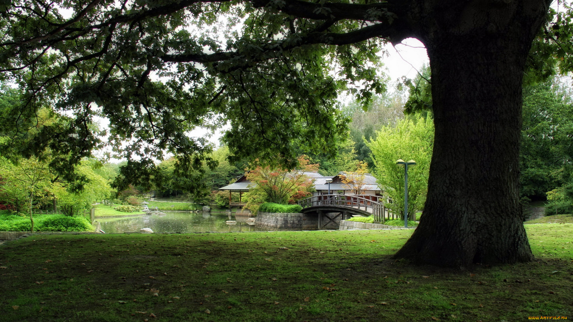 природа, парк, водоем, мостик, беседка, деревья
