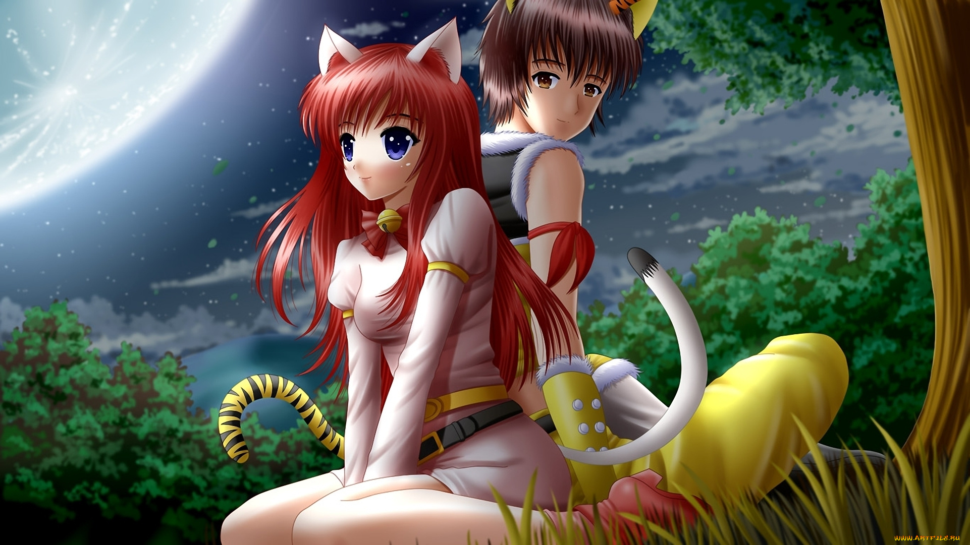 аниме, animals, девушка, парень, неко, уши, ilolamai