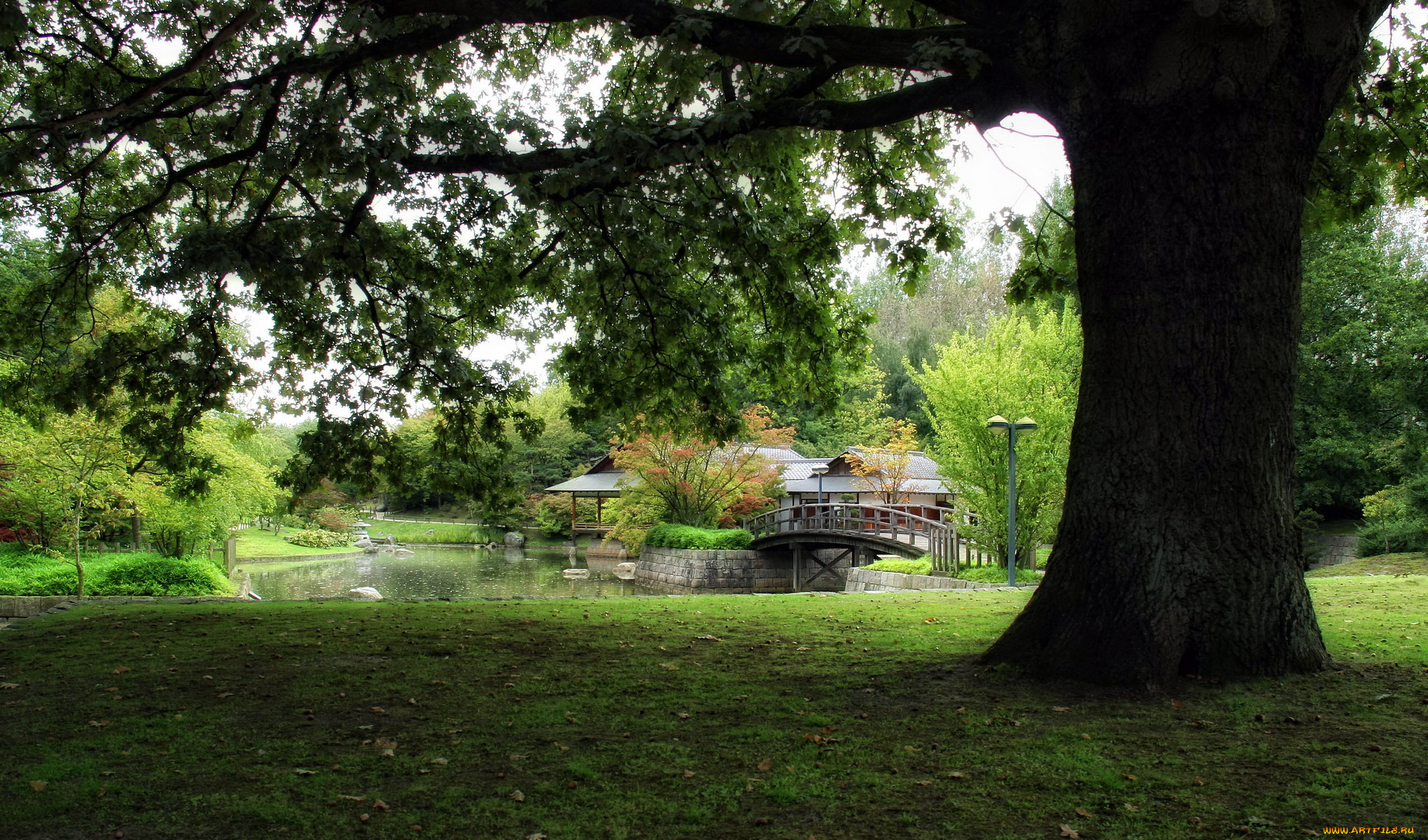 природа, парк, водоем, мостик, беседка, деревья