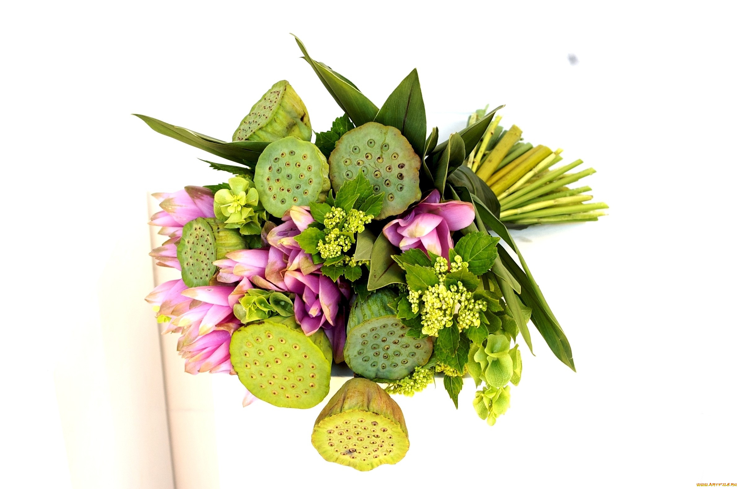 цветы, букеты, композиции, лотосы, гортензия