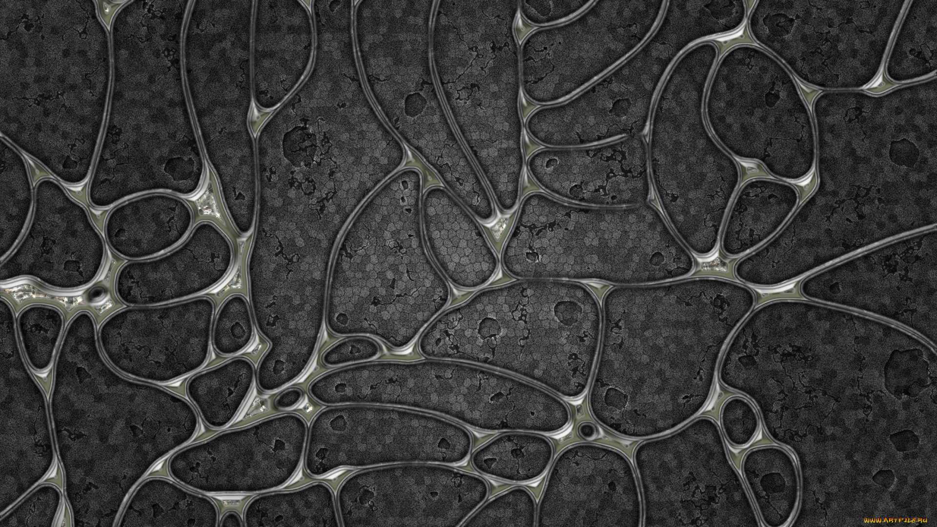 3д, графика, abstract, абстракции, изгибы, цвета, фон, узор, линии