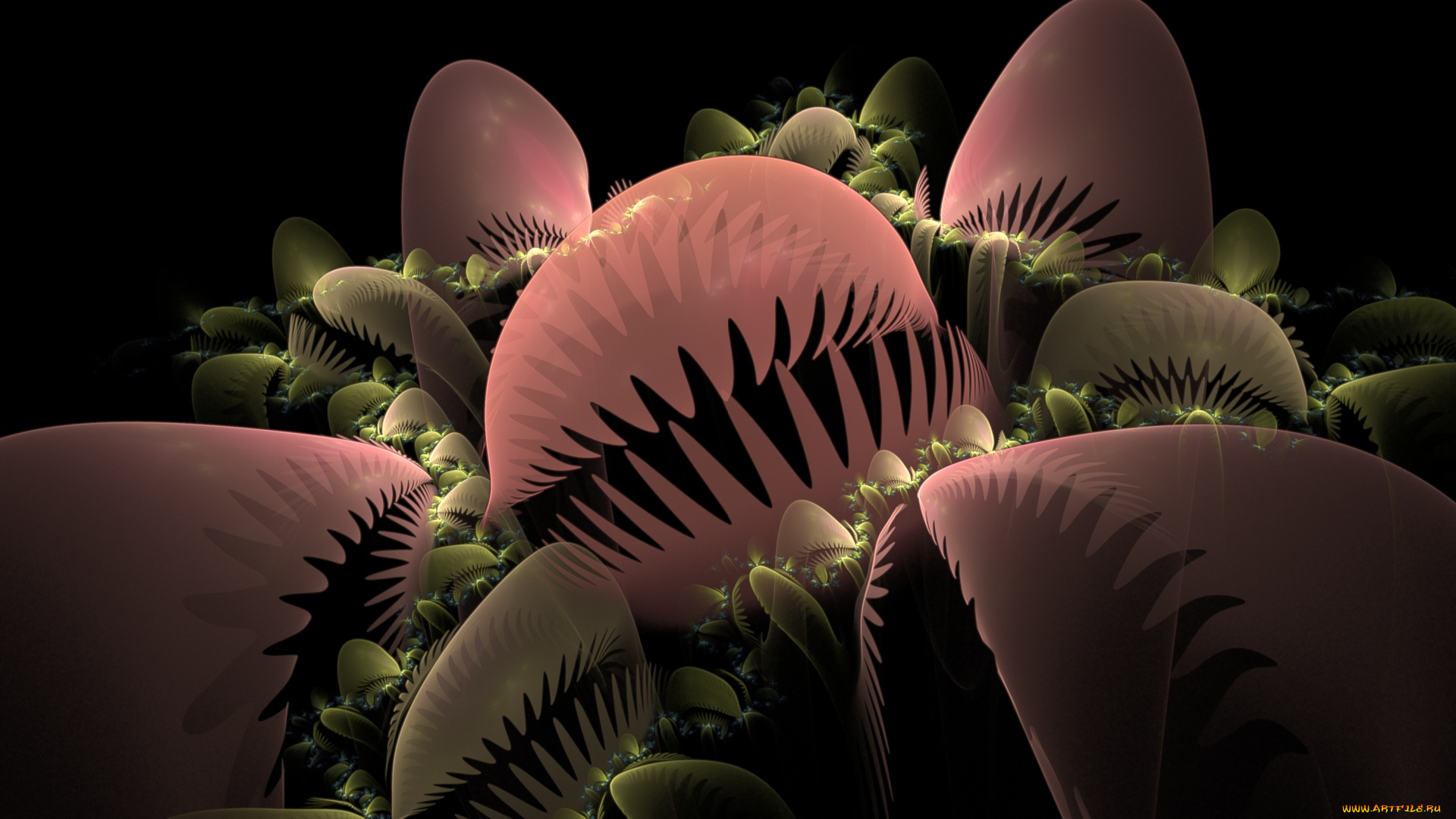 3д, графика, fractal, фракталы, анна, седокова