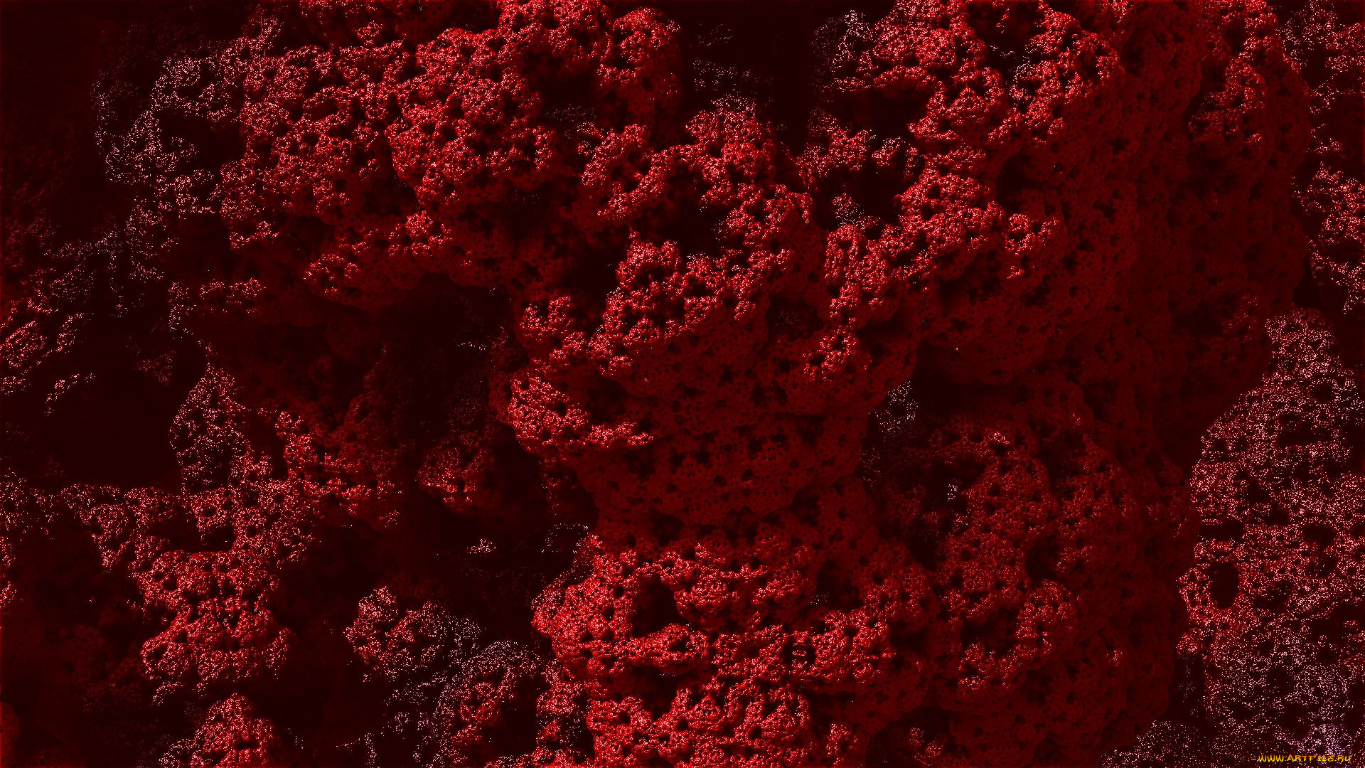 3д, графика, fractal, фракталы, цвета, узор, фон, линии, изгибы