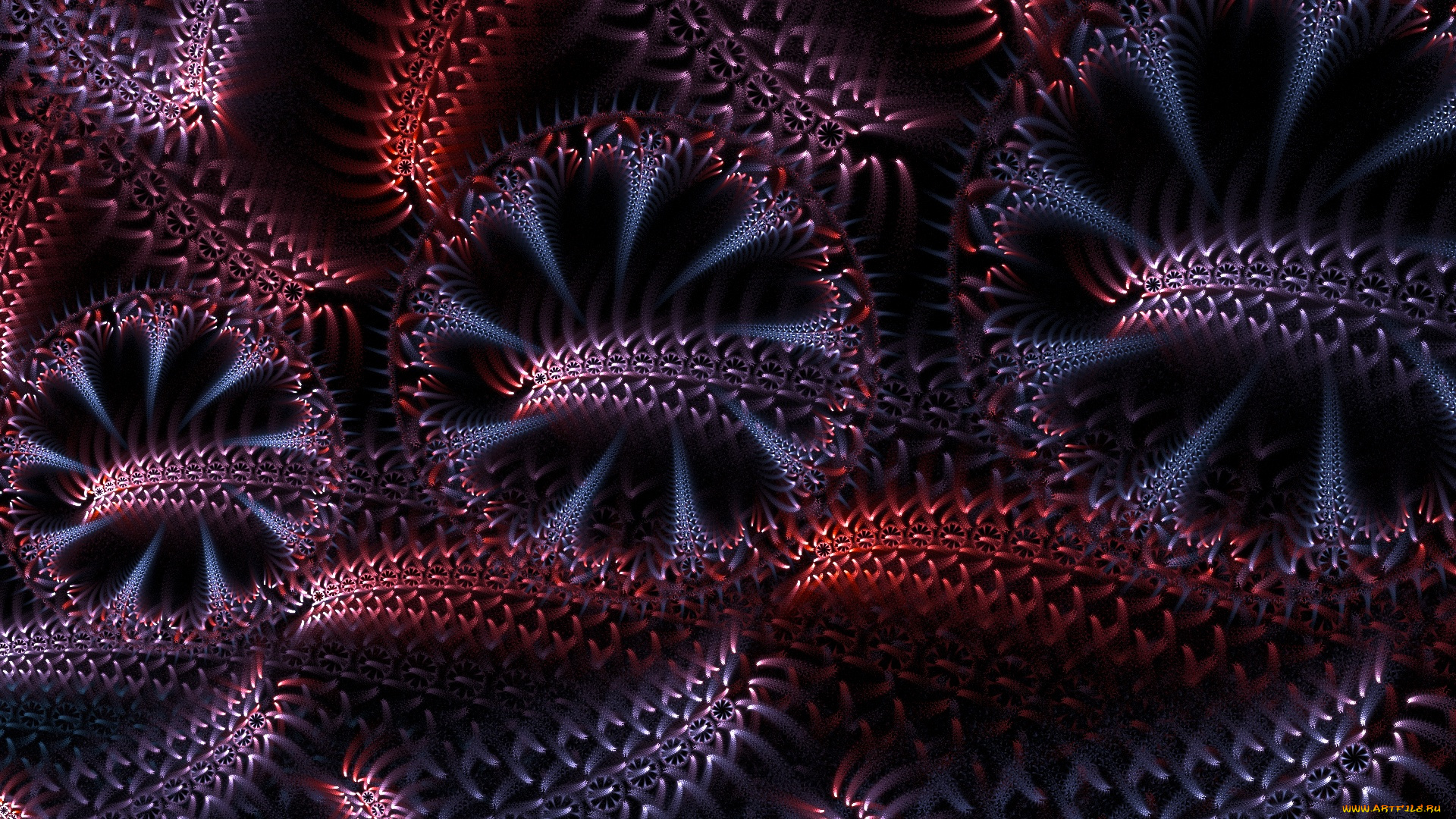 3д, графика, fractal, фракталы, фон, цвета, линии, темный, изгибы, узор