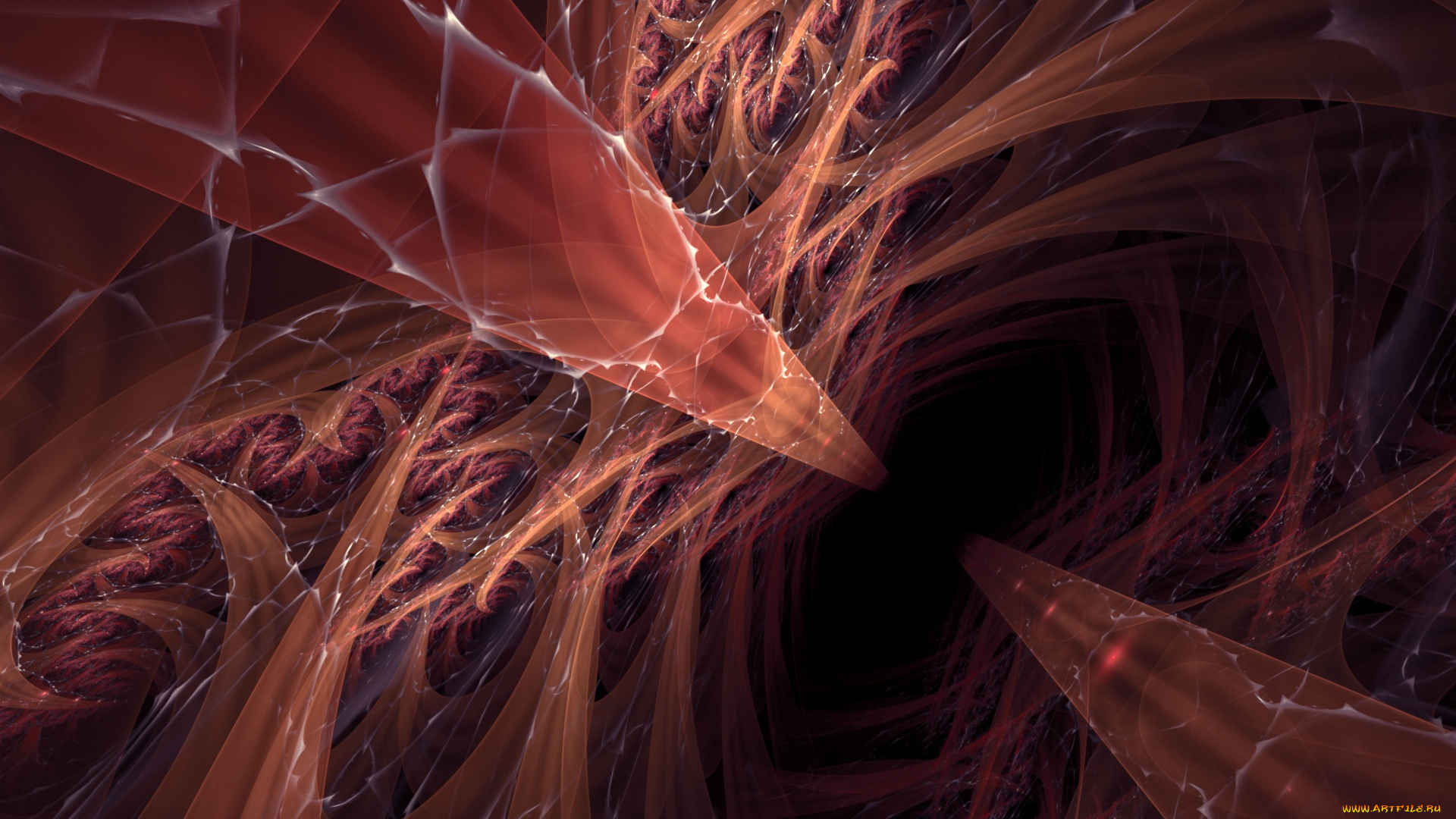 3д, графика, fractal, фракталы, фон, узор, цвета, изгибы, линии