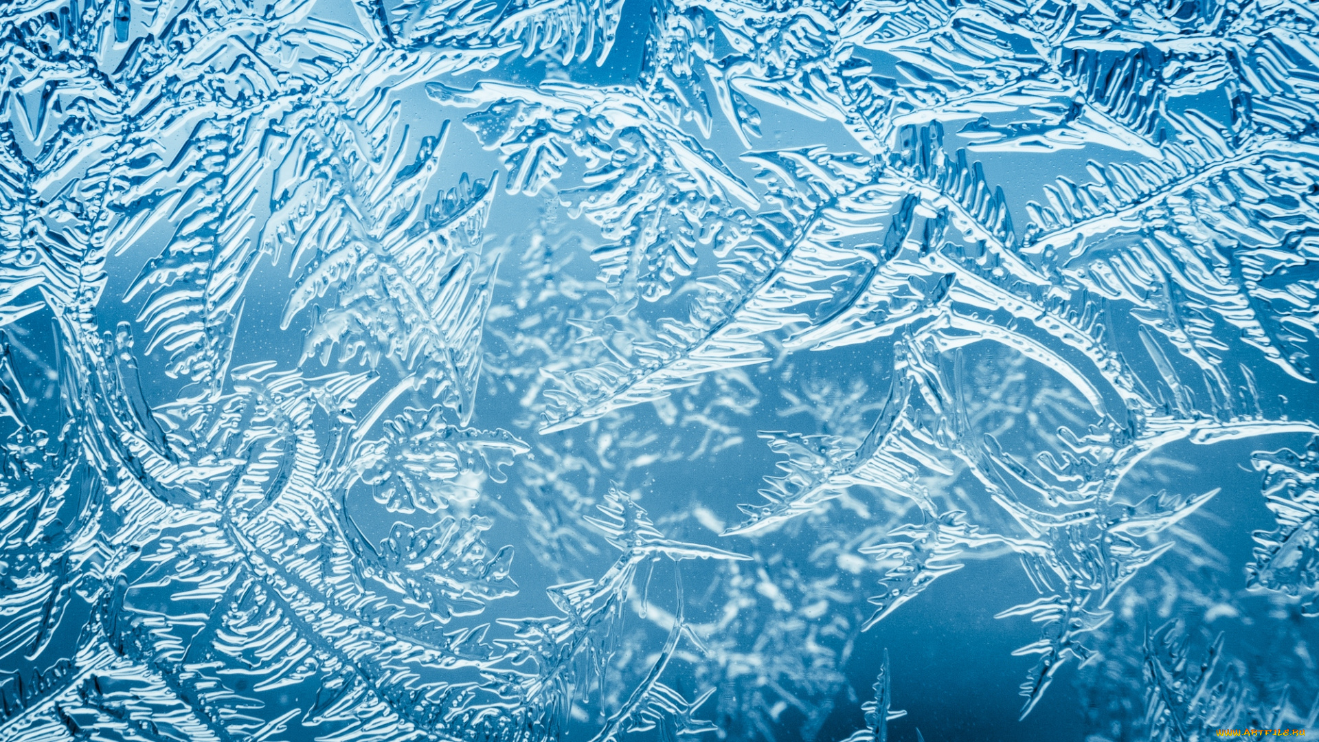 природа, макро, мороз, узор