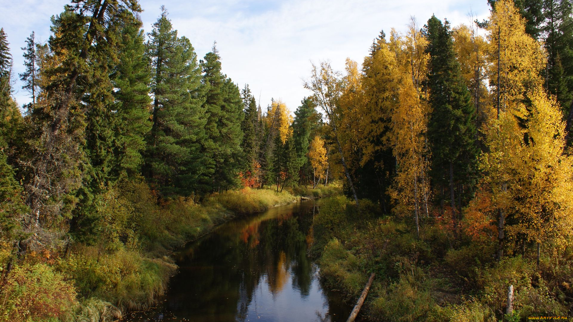 природа, нижневартовска, реки, озера, лес, деревья, осень, река, бревна