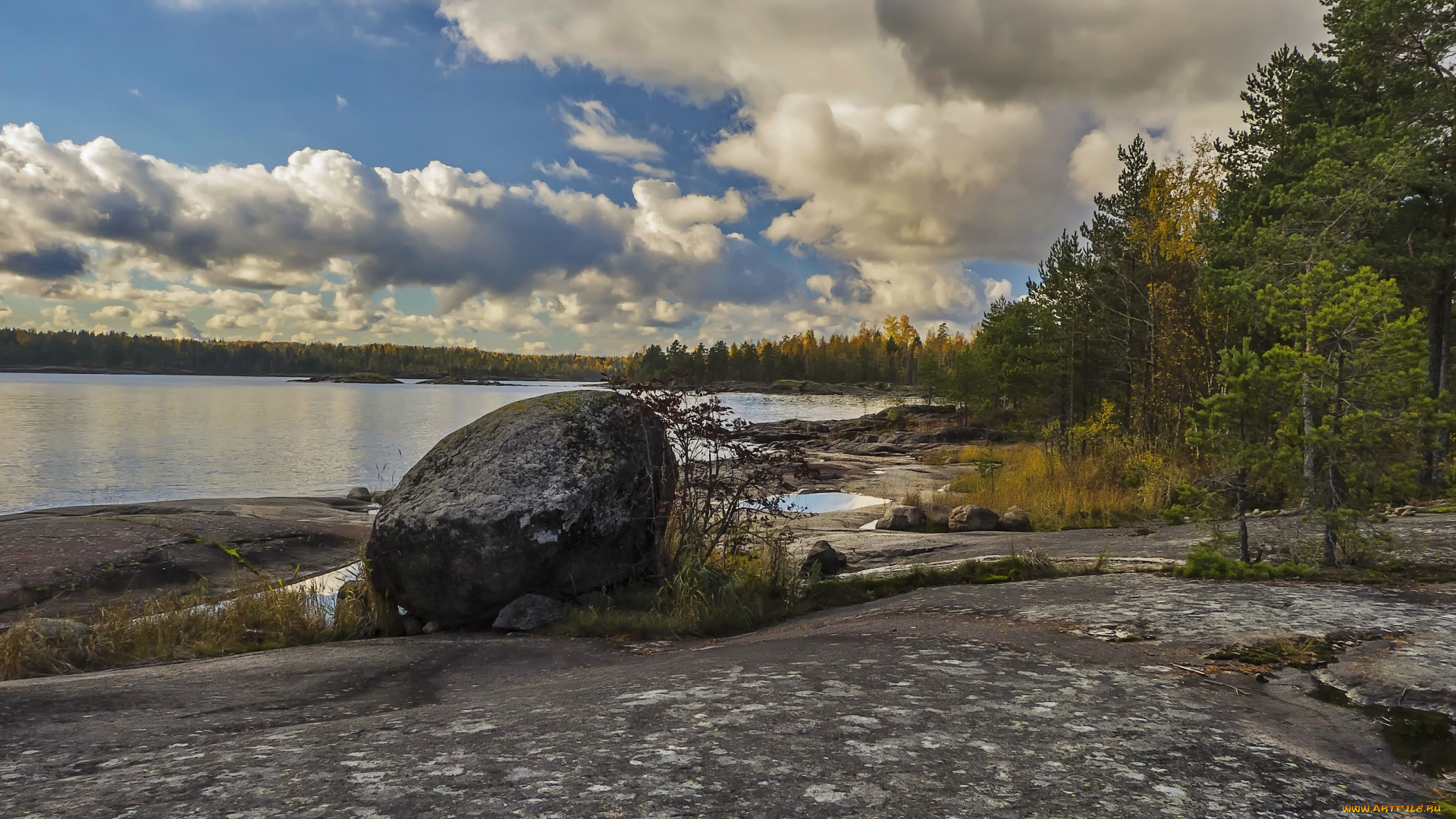 природа, реки, озера, берег