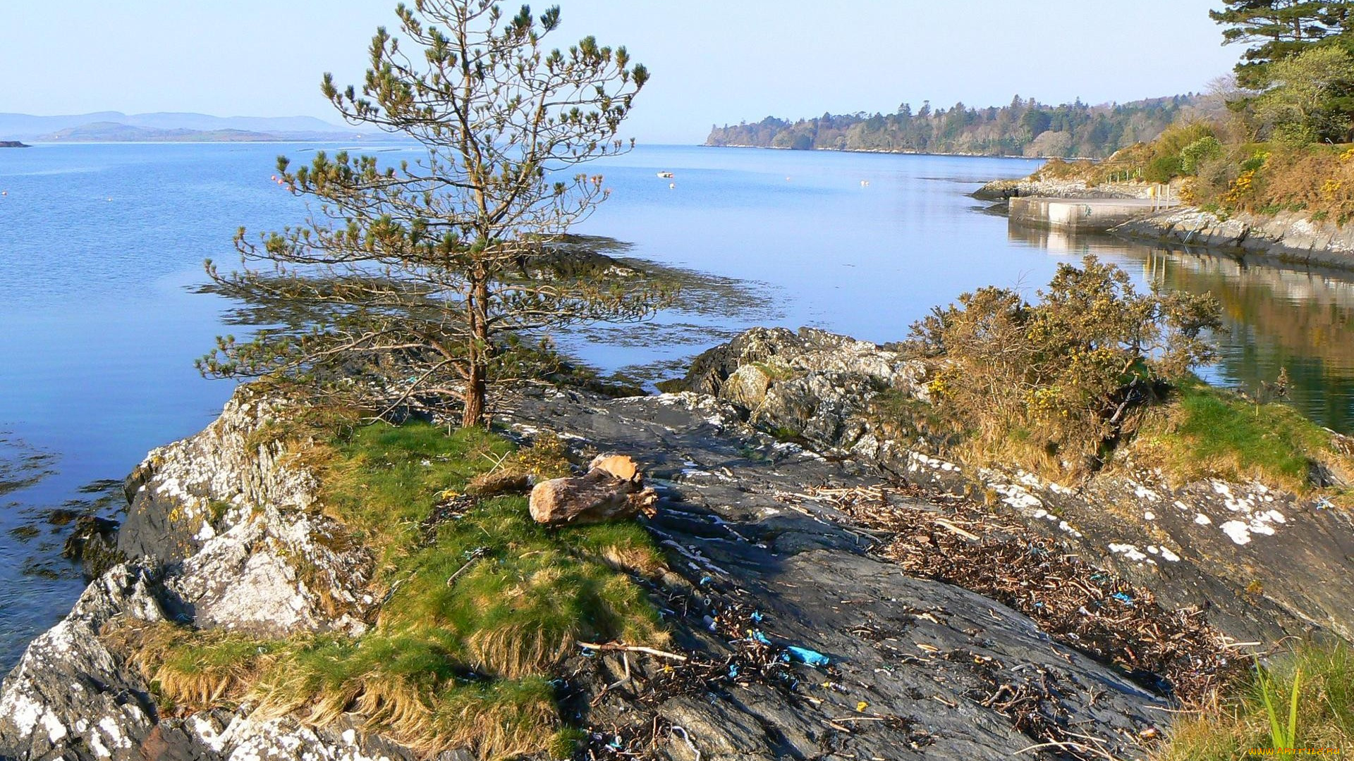 природа, реки, озера, горы, река, деревья