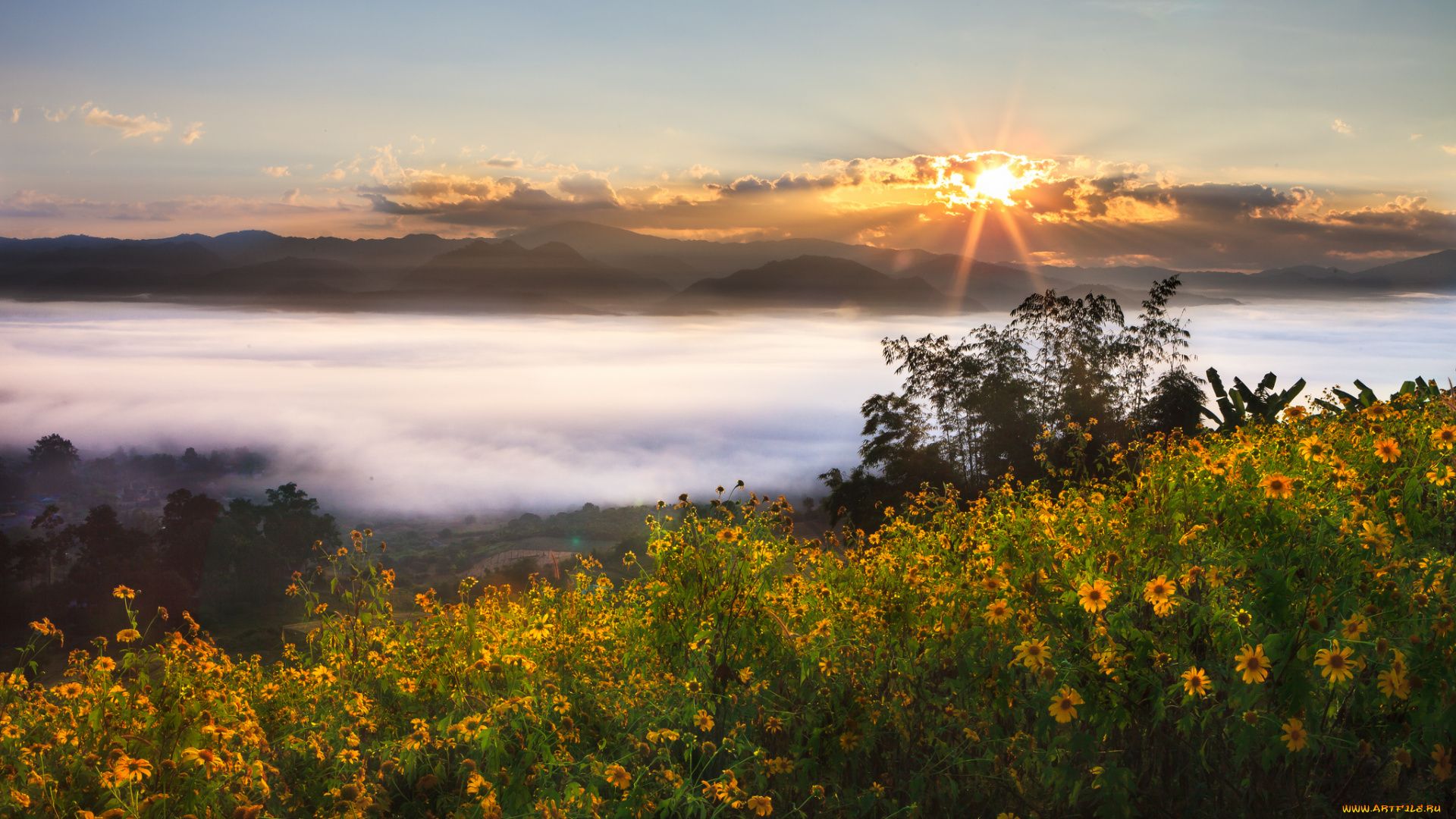 природа, восходы, закаты, цветы, закат, пейзаж, таиланд, thailand