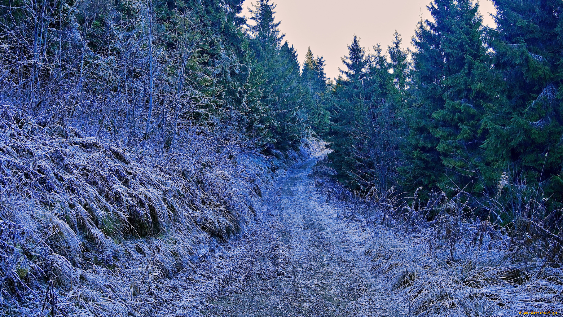 природа, зима, дорога, снег, вечер, деревья