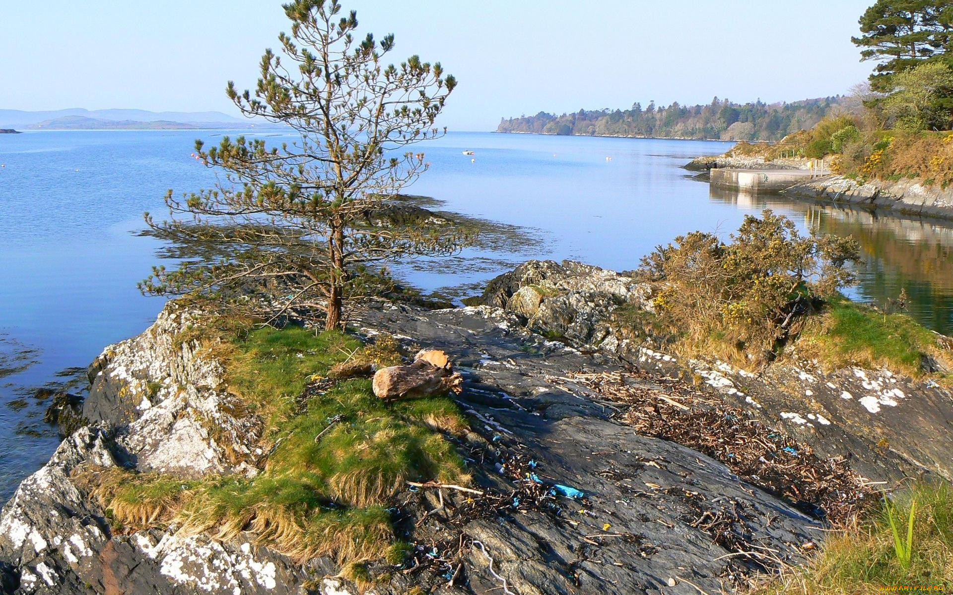 природа, реки, озера, горы, река, деревья