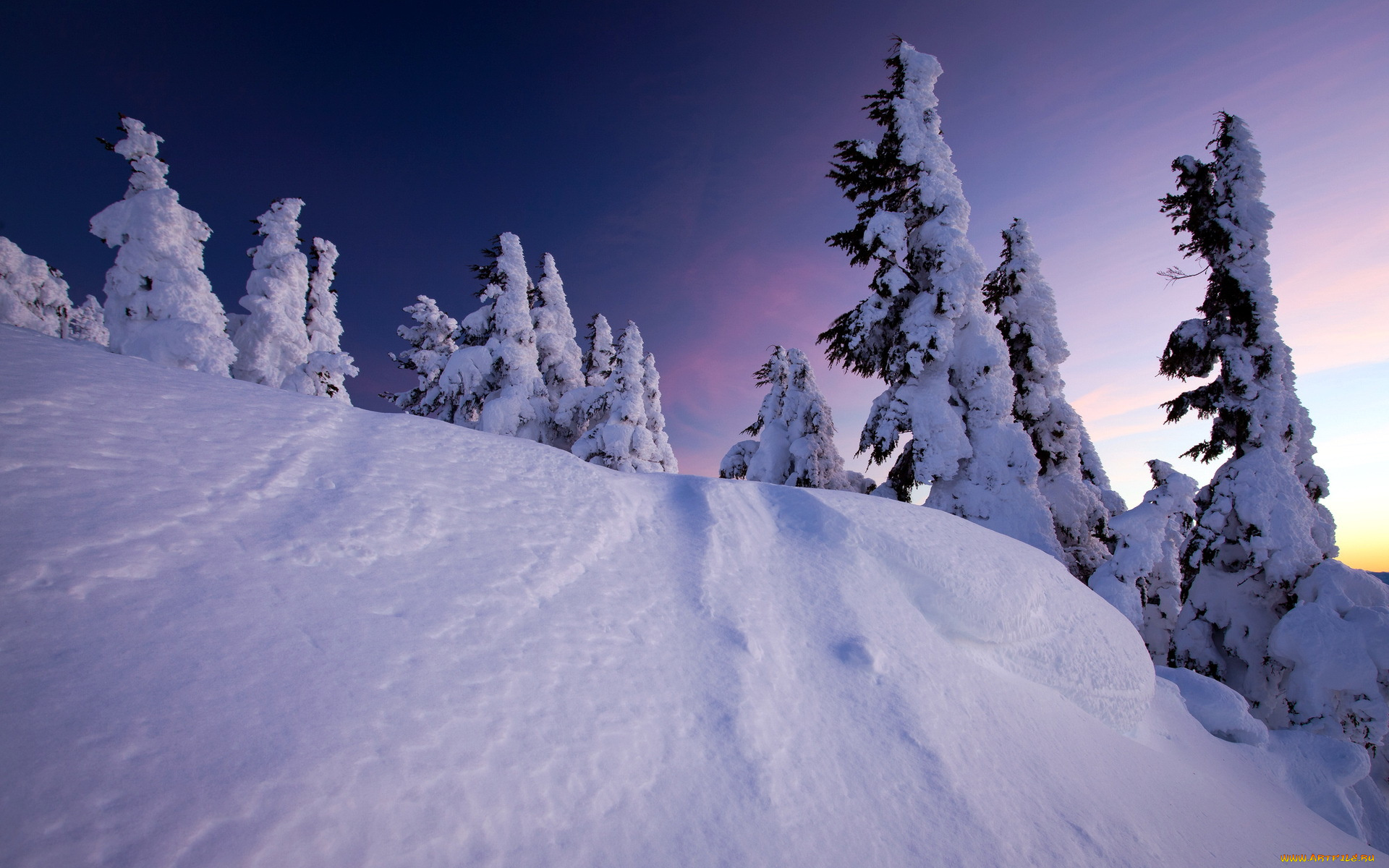 природа, зима