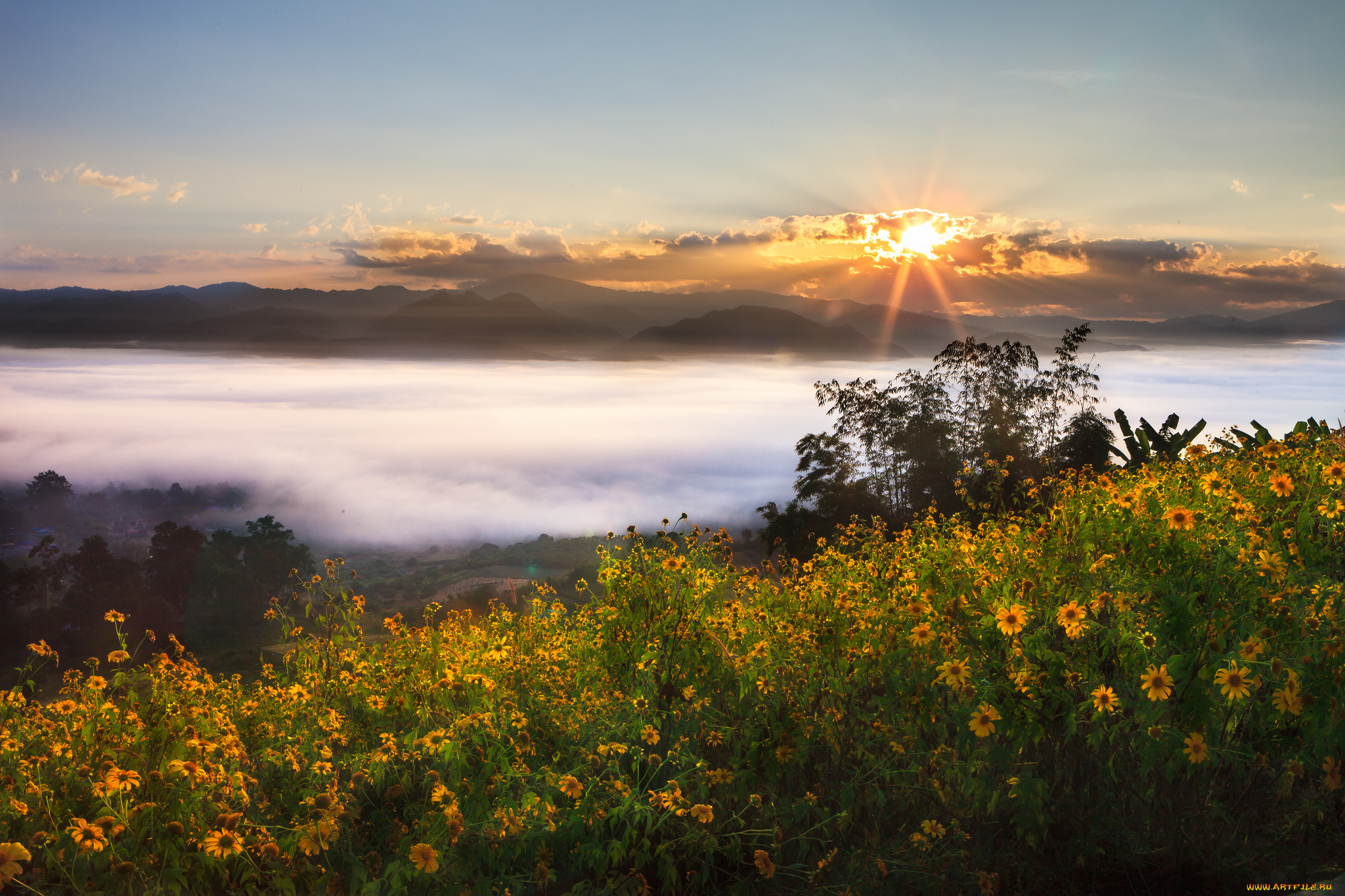 природа, восходы, закаты, цветы, закат, пейзаж, таиланд, thailand