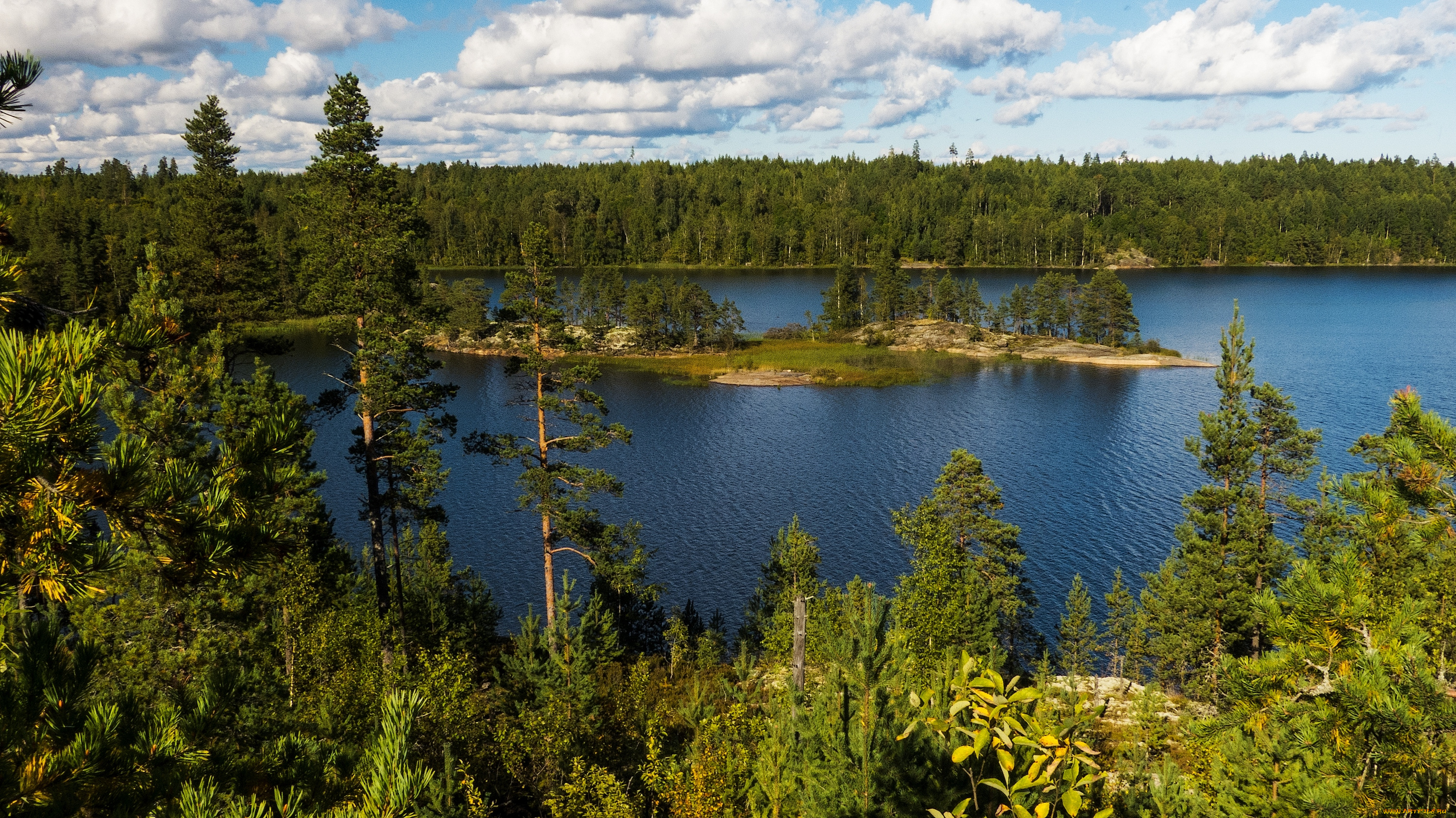природа, реки, озера, ладога