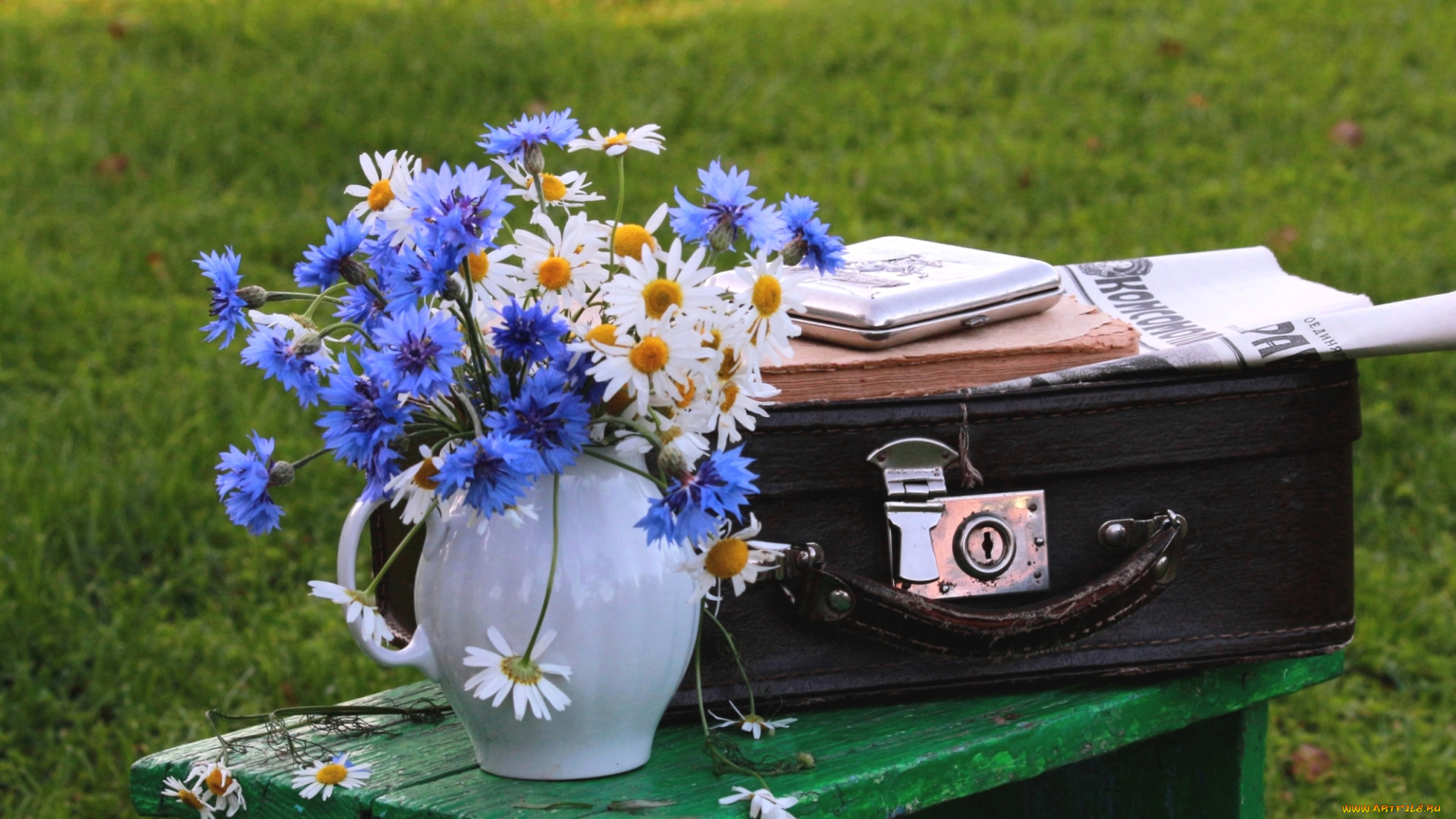 цветы, луговые, , полевые, , цветы, ромашки, васильки, чемодан