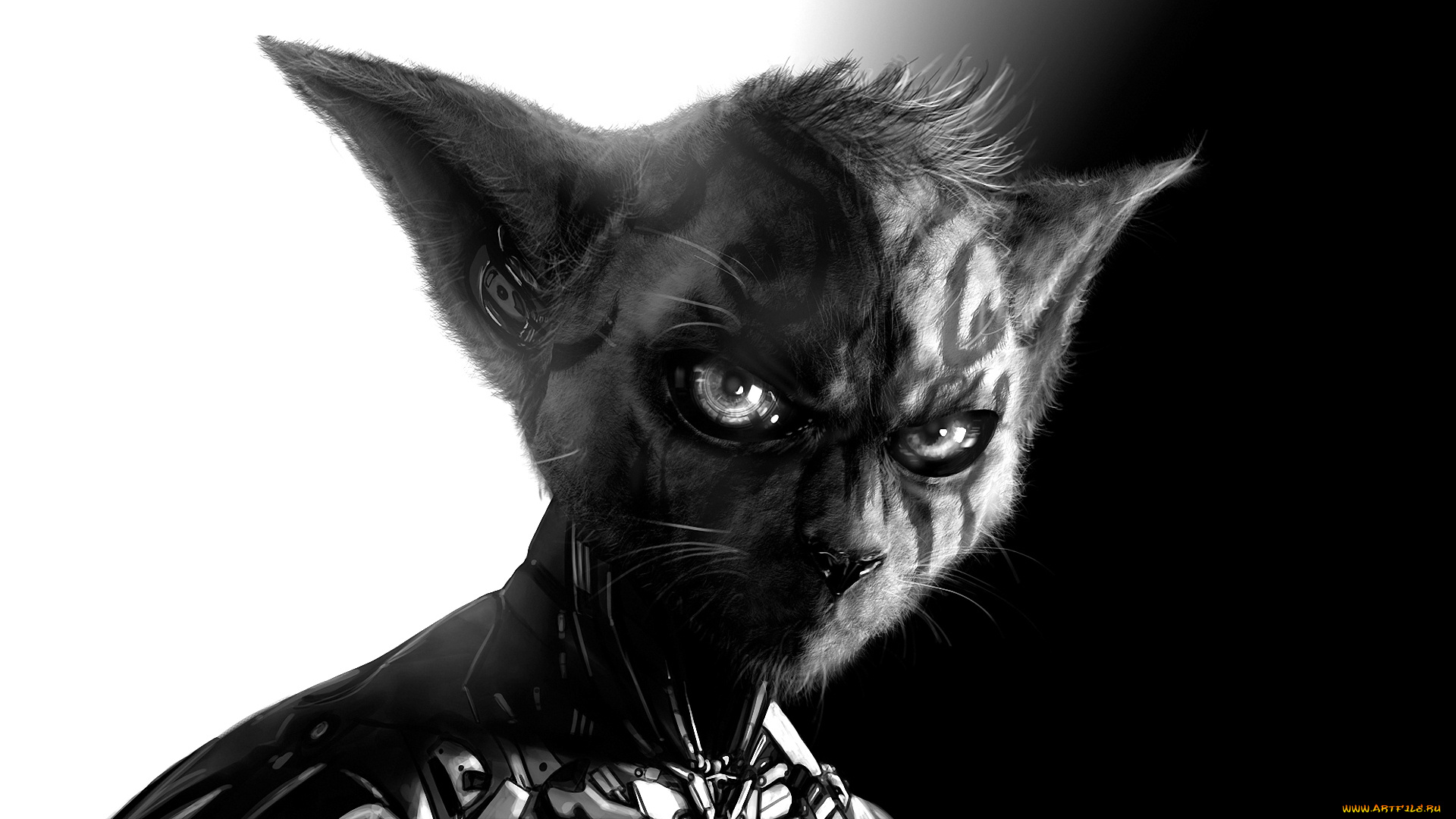 фэнтези, роботы, , киборги, , механизмы, кошачья, робот, коборг, голова