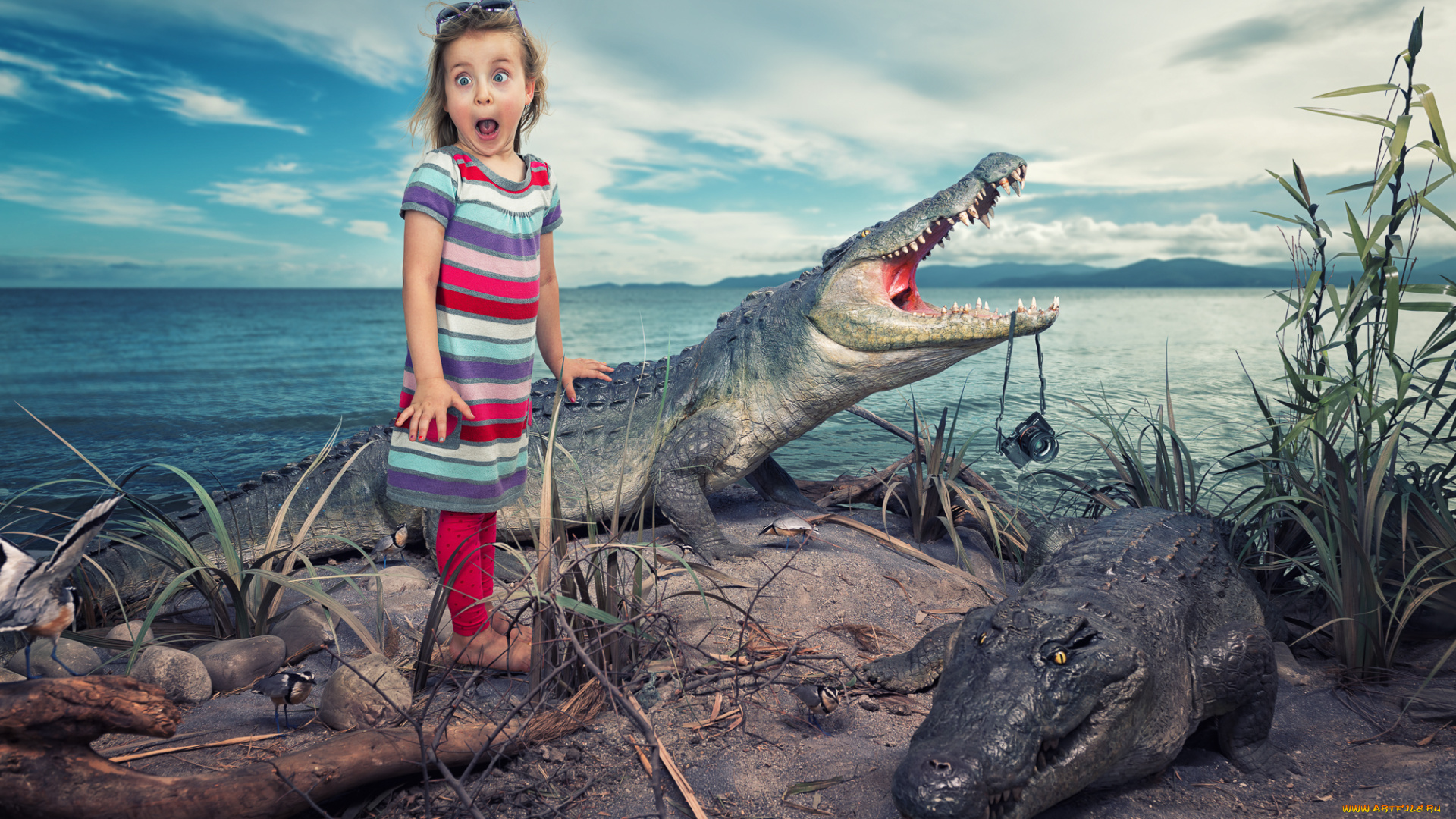 мама, , папа, здесь, юмор, и, приколы, удивление, крокодилы, девочка, ужас, ситуация