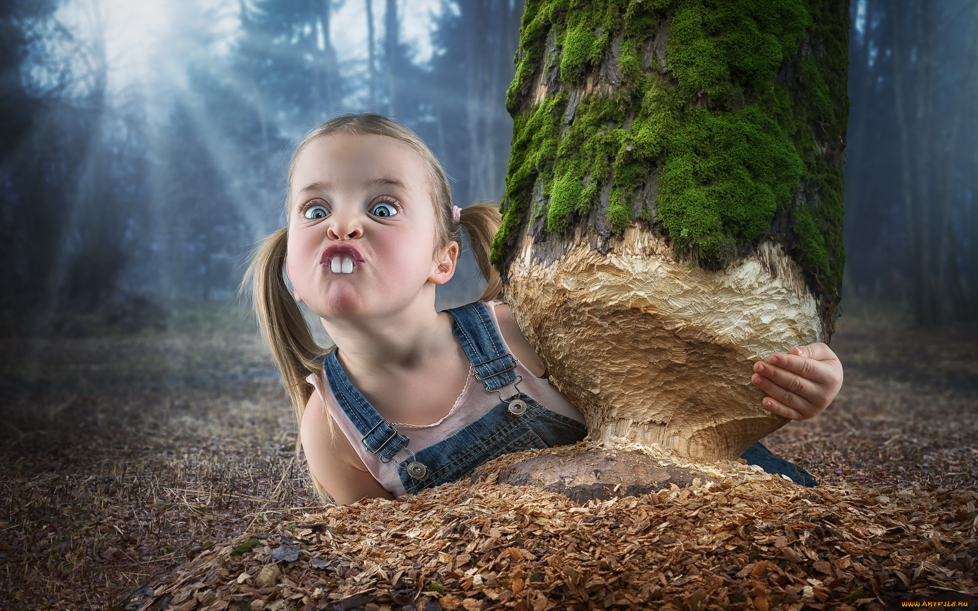 юмор, и, приколы, девочка, дерево, зубы, бобёр