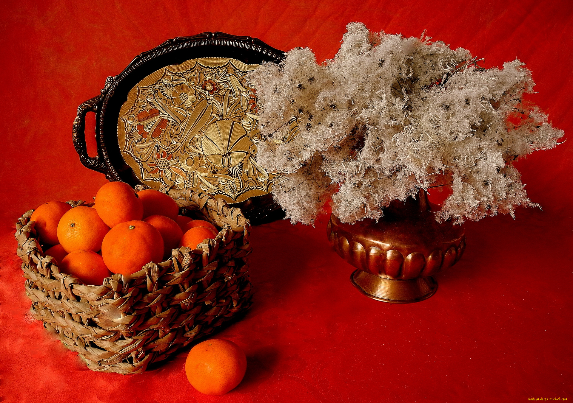 еда, цитрусы, мандарины, натюрморт, поднос