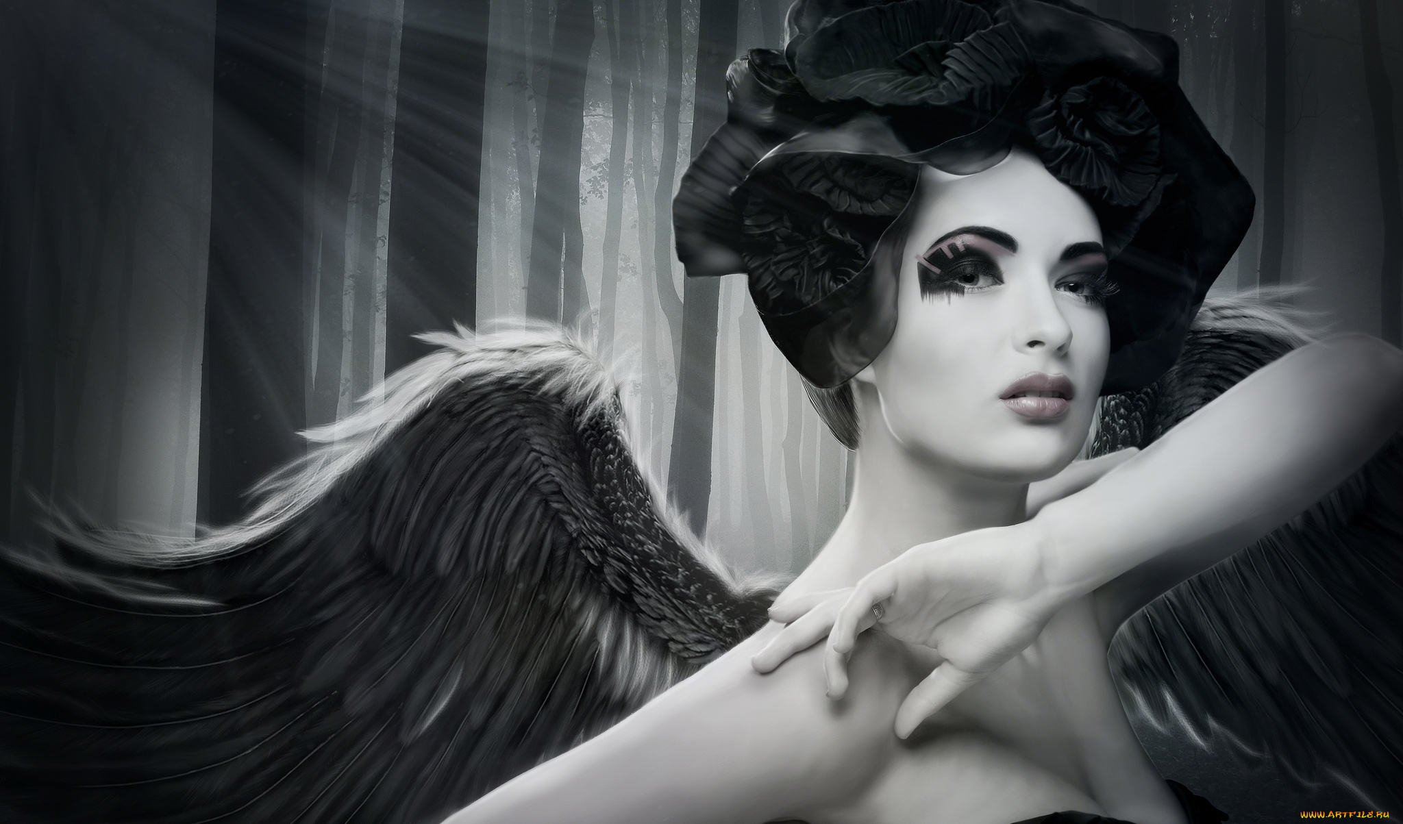 разное, компьютерный, дизайн, крылья