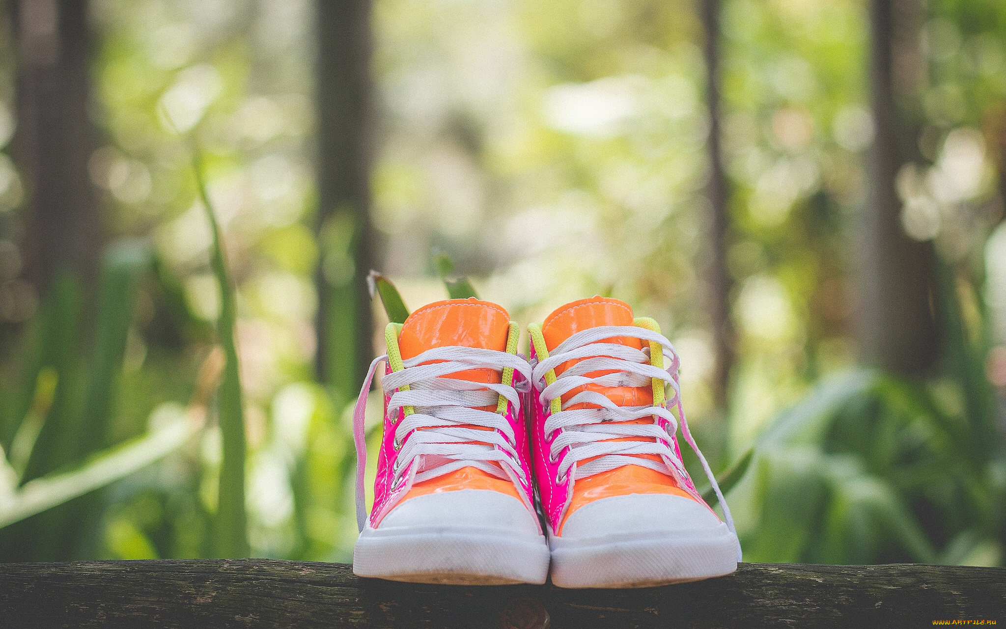 разное, одежда, , обувь, , текстиль, , экипировка, шнурки, бревно, кеды