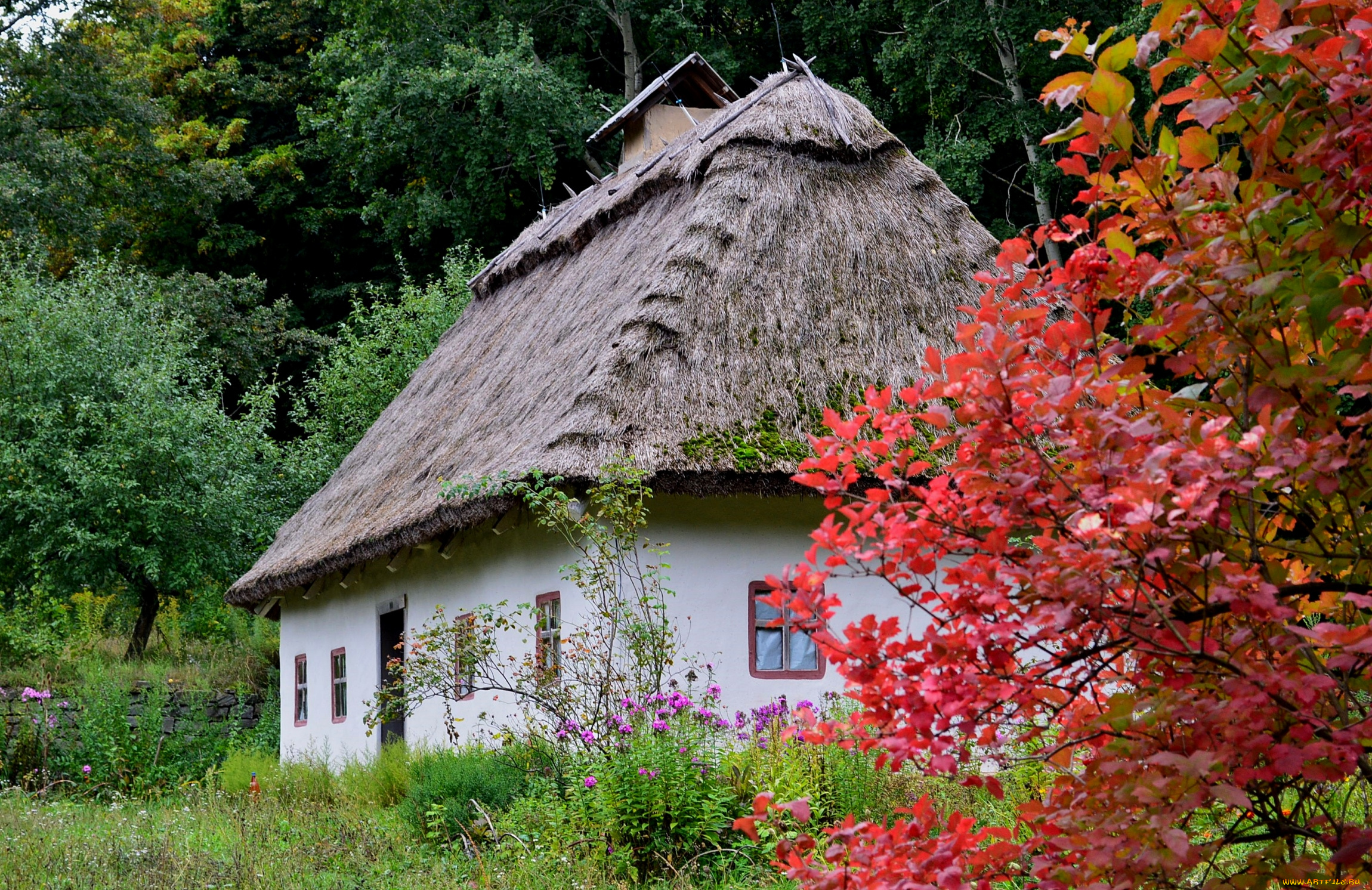 города, -, здания, , дома, хата