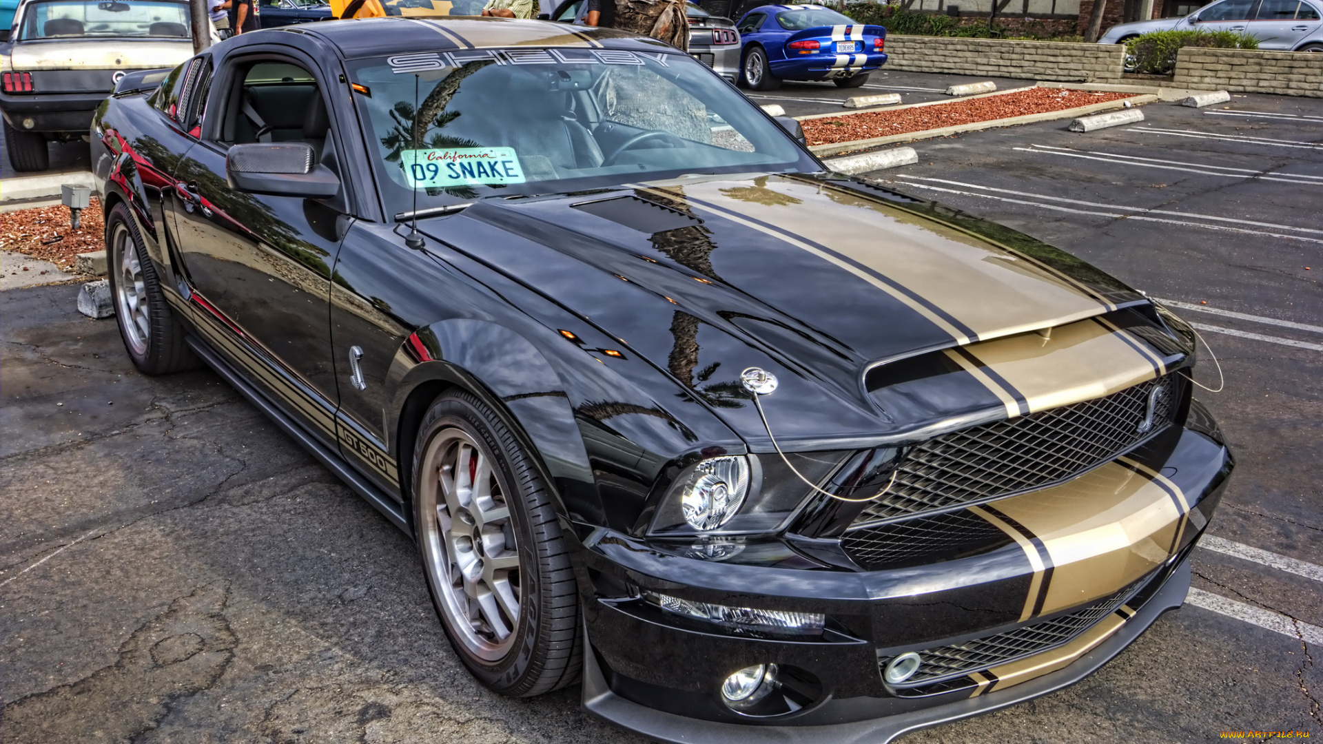 автомобили, выставки, и, уличные, фото, выставка, автошоу