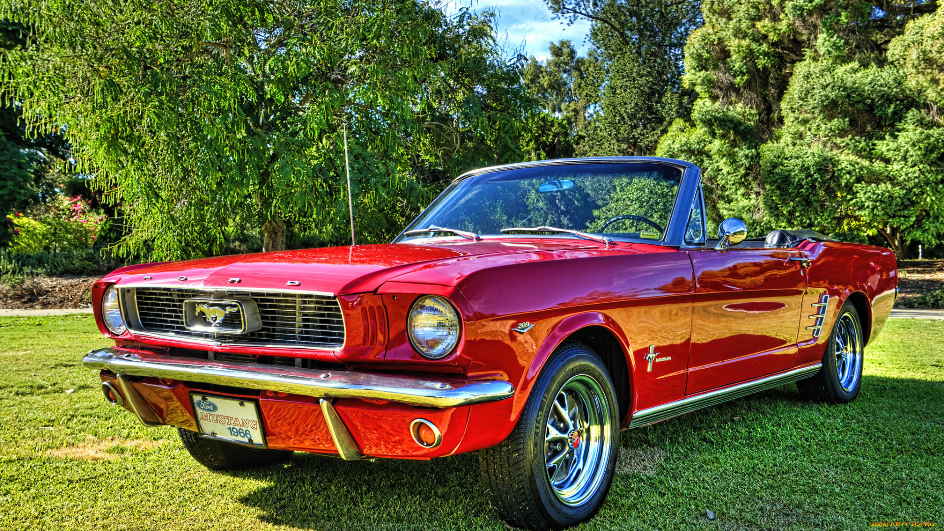 mustangs, автомобили, mustang, выставка, автошоу