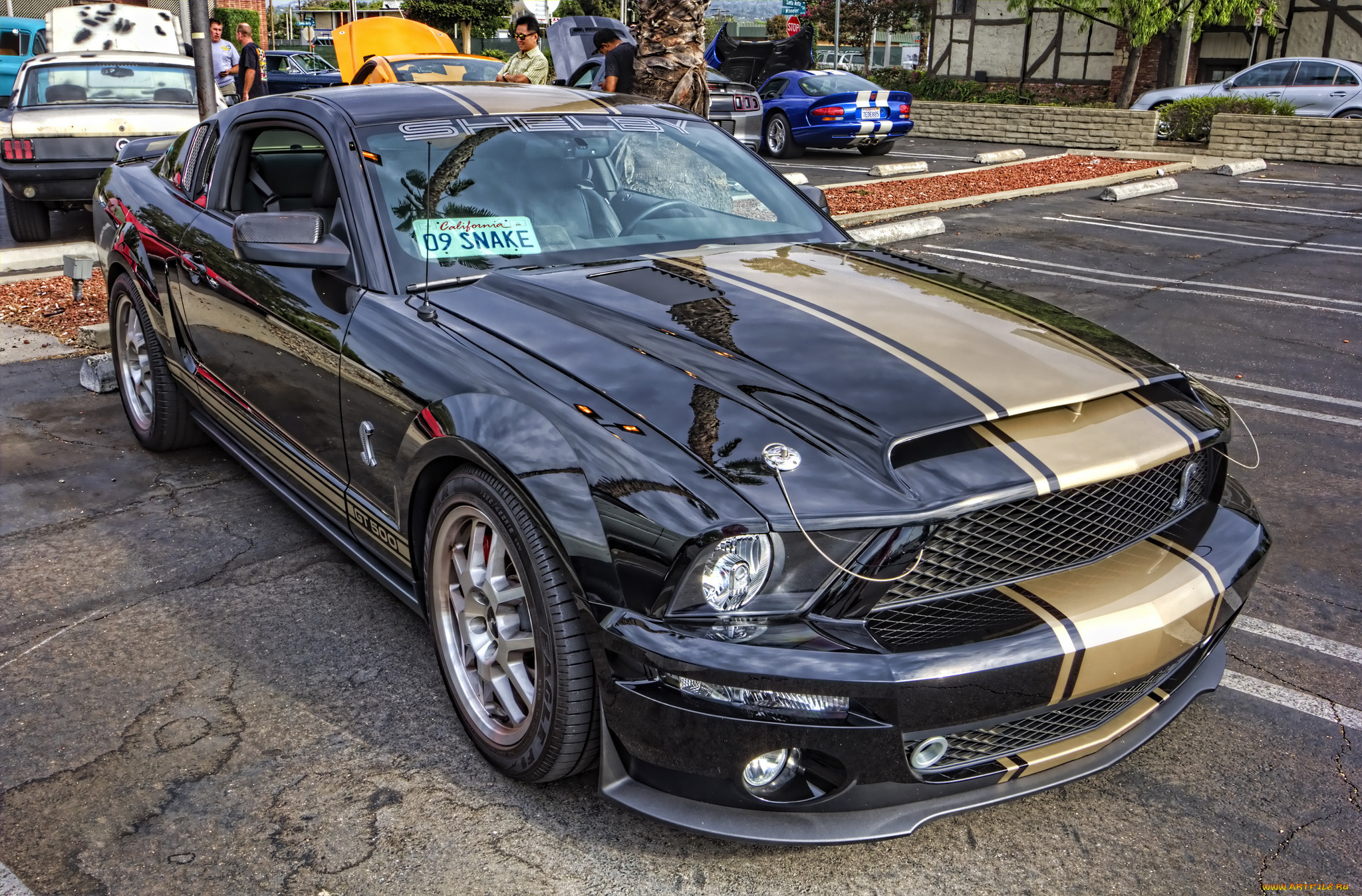 автомобили, выставки, и, уличные, фото, выставка, автошоу